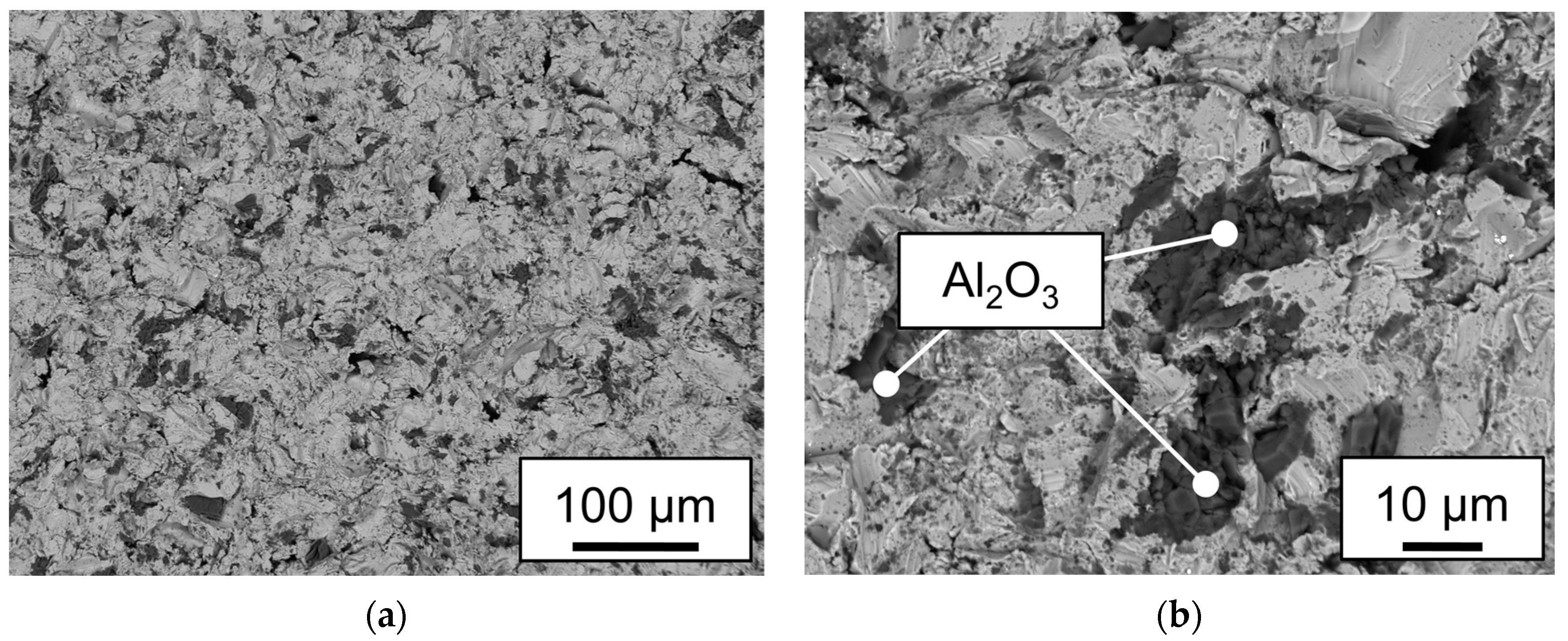 Applsci 13 13275 g015 Applsci 13 13275 g015