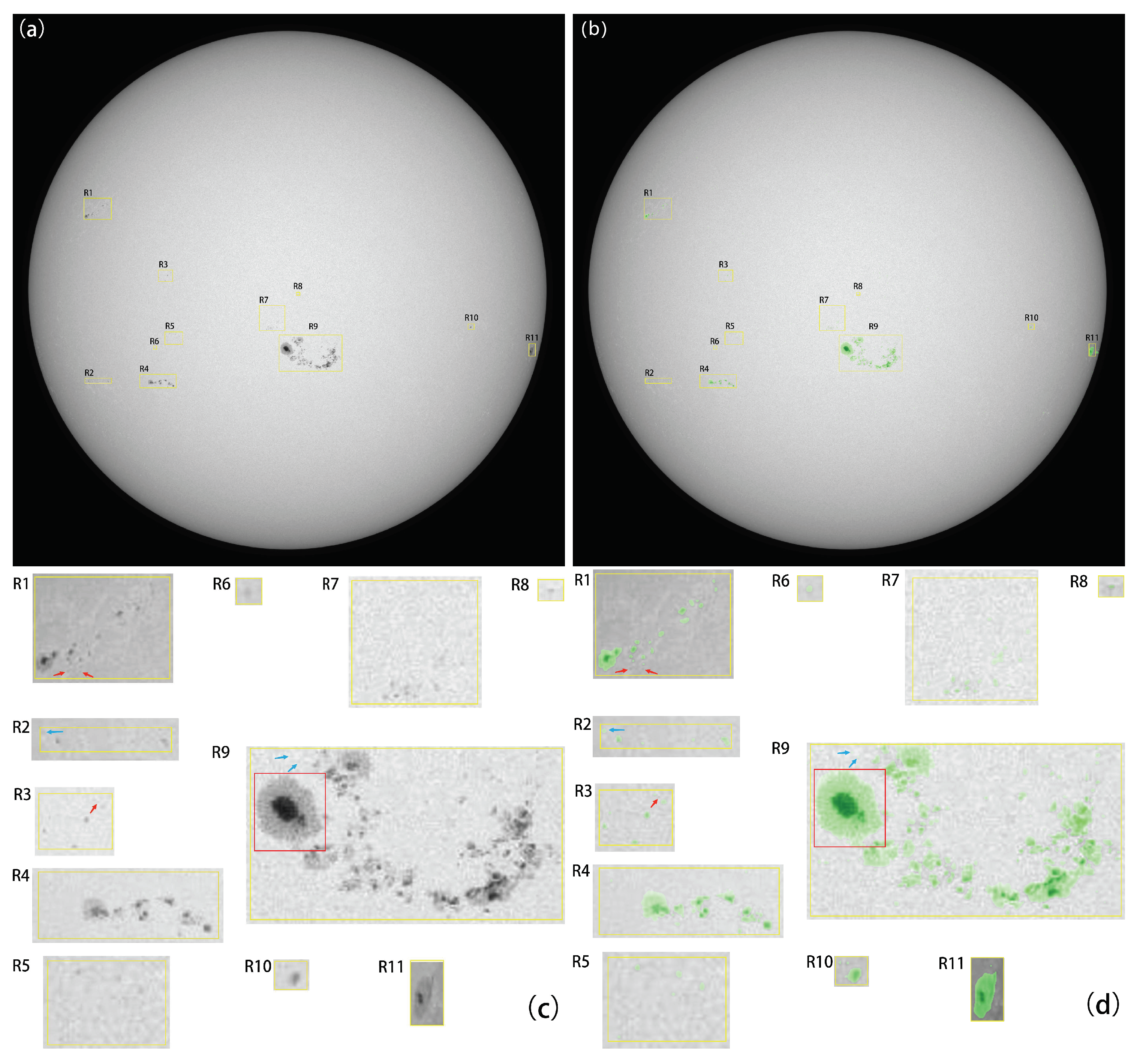 Applsci 14 00007 g005