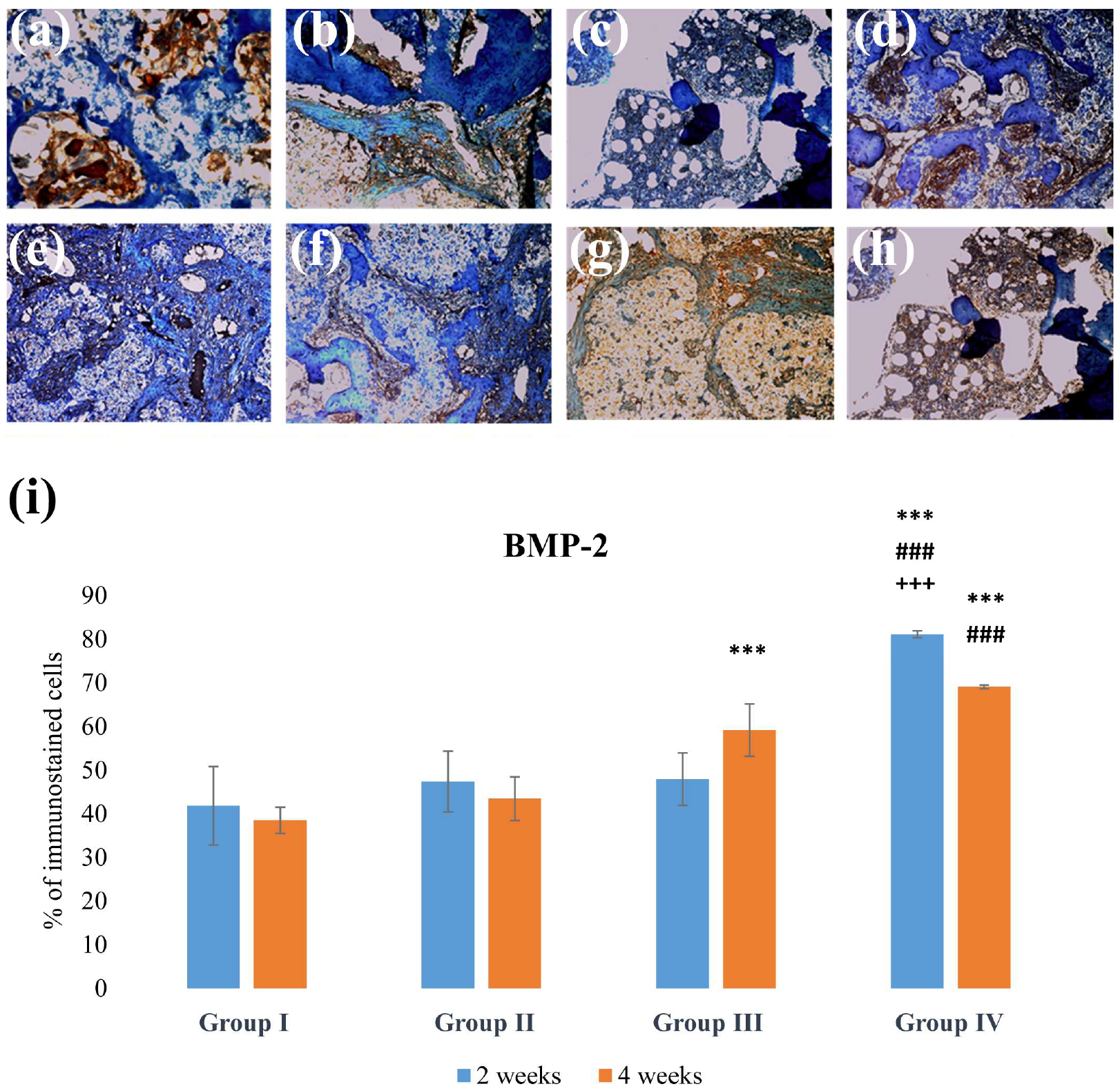 Applsci 14 00016 g003 Applsci 14 00016 g003