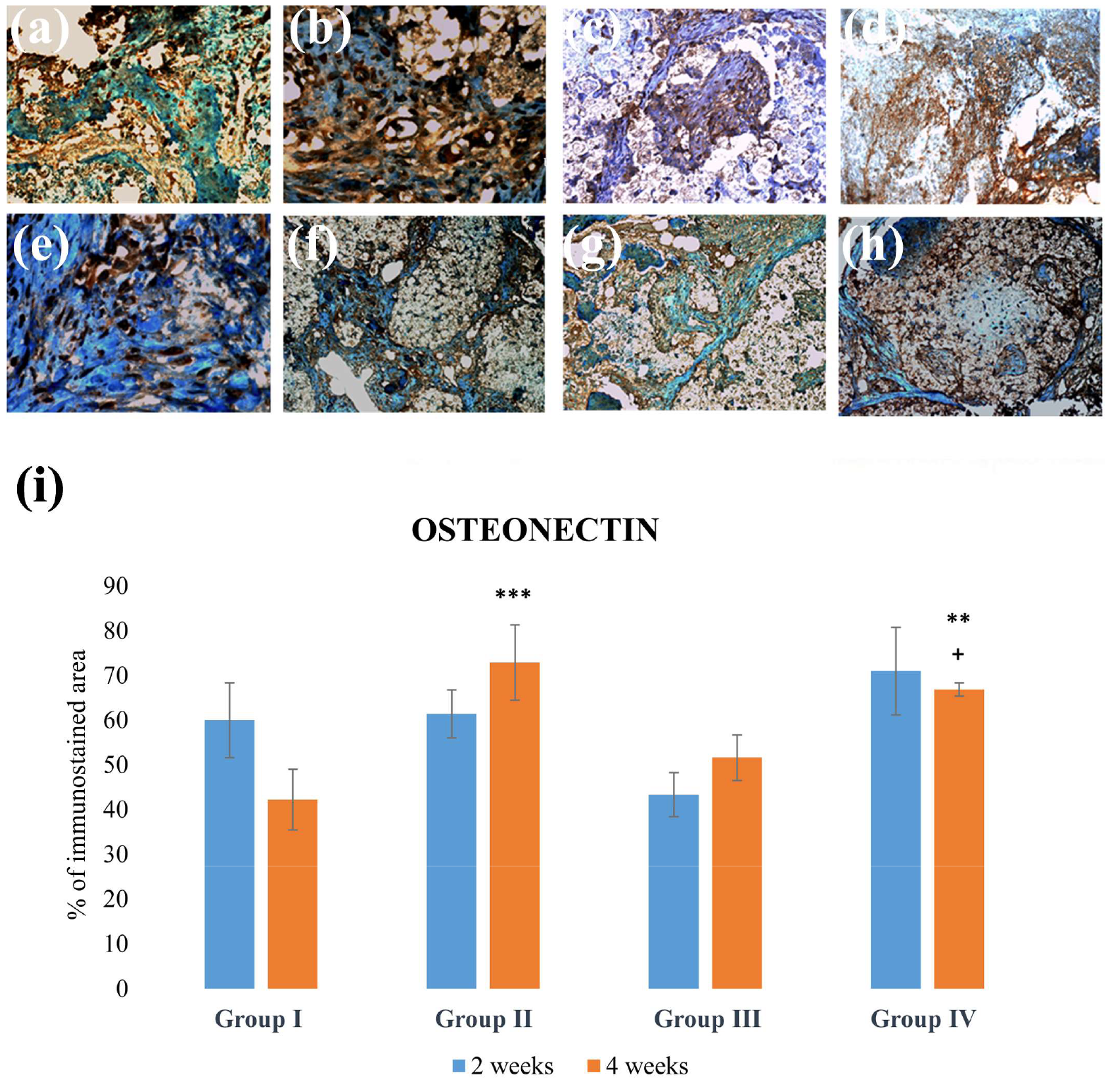 Applsci 14 00016 g007 Applsci 14 00016 g007