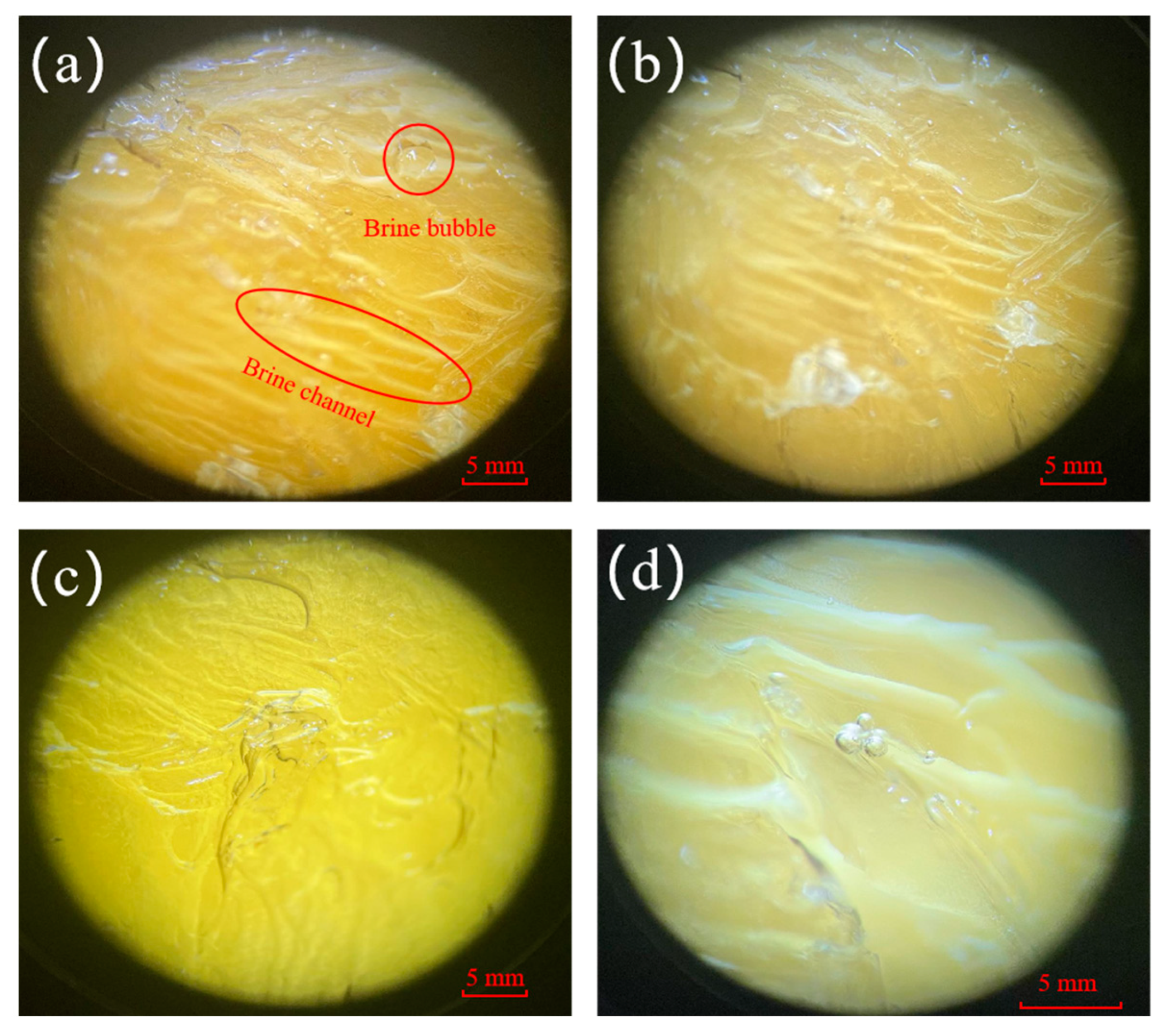 Applsci 14 00036 g004