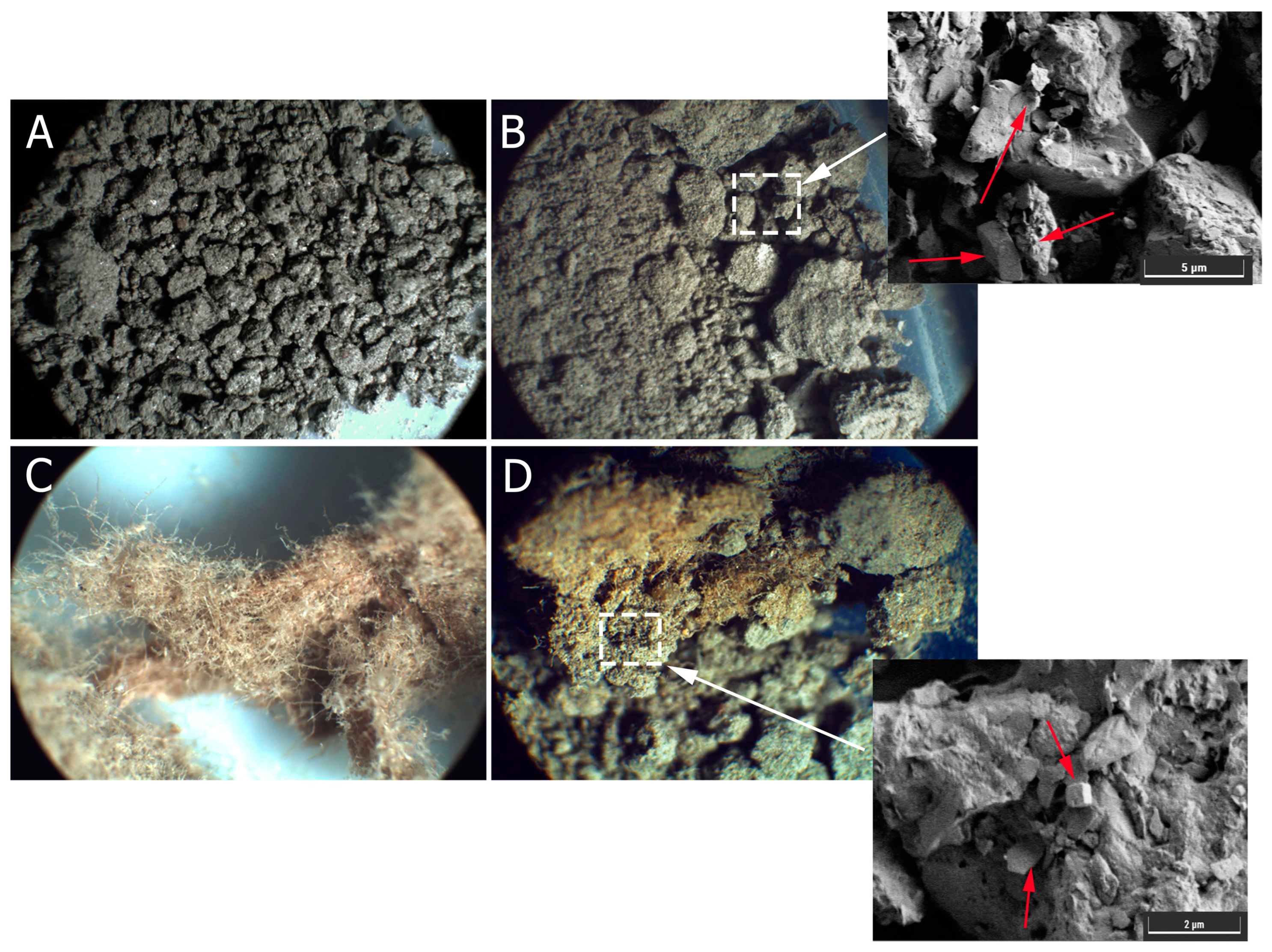 Applsci 14 00062 g008