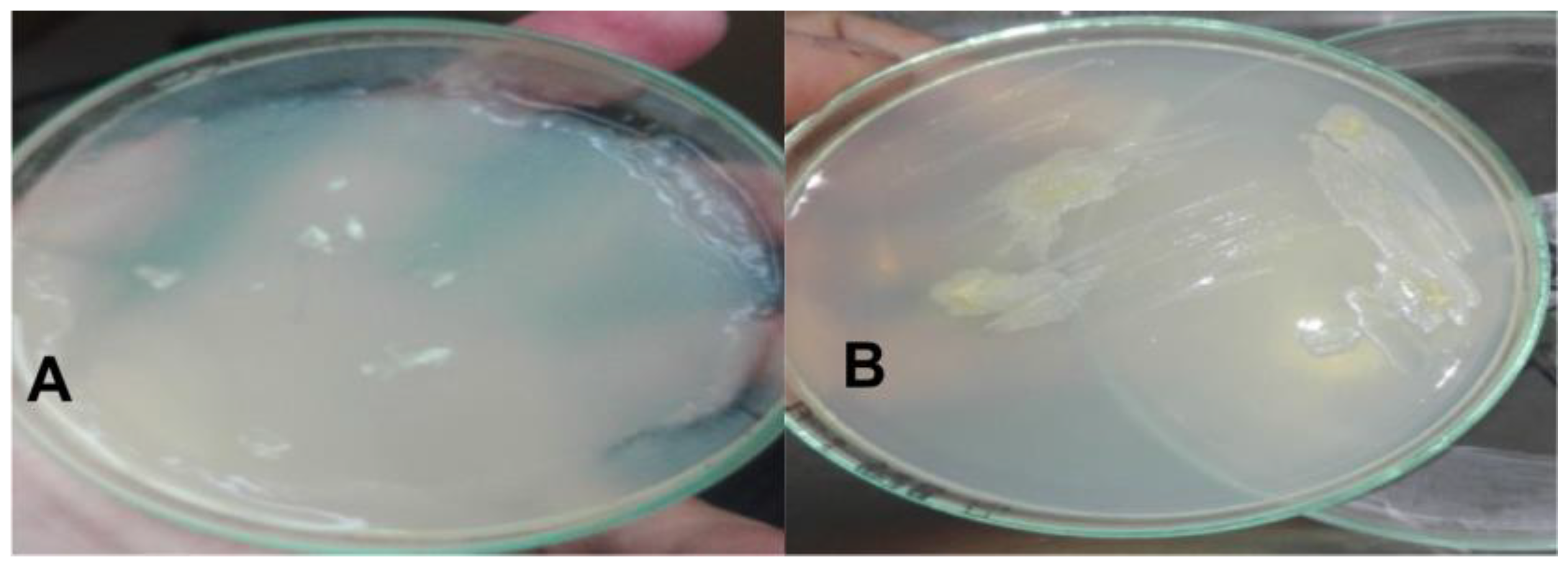 Applsci 14 00128 g001