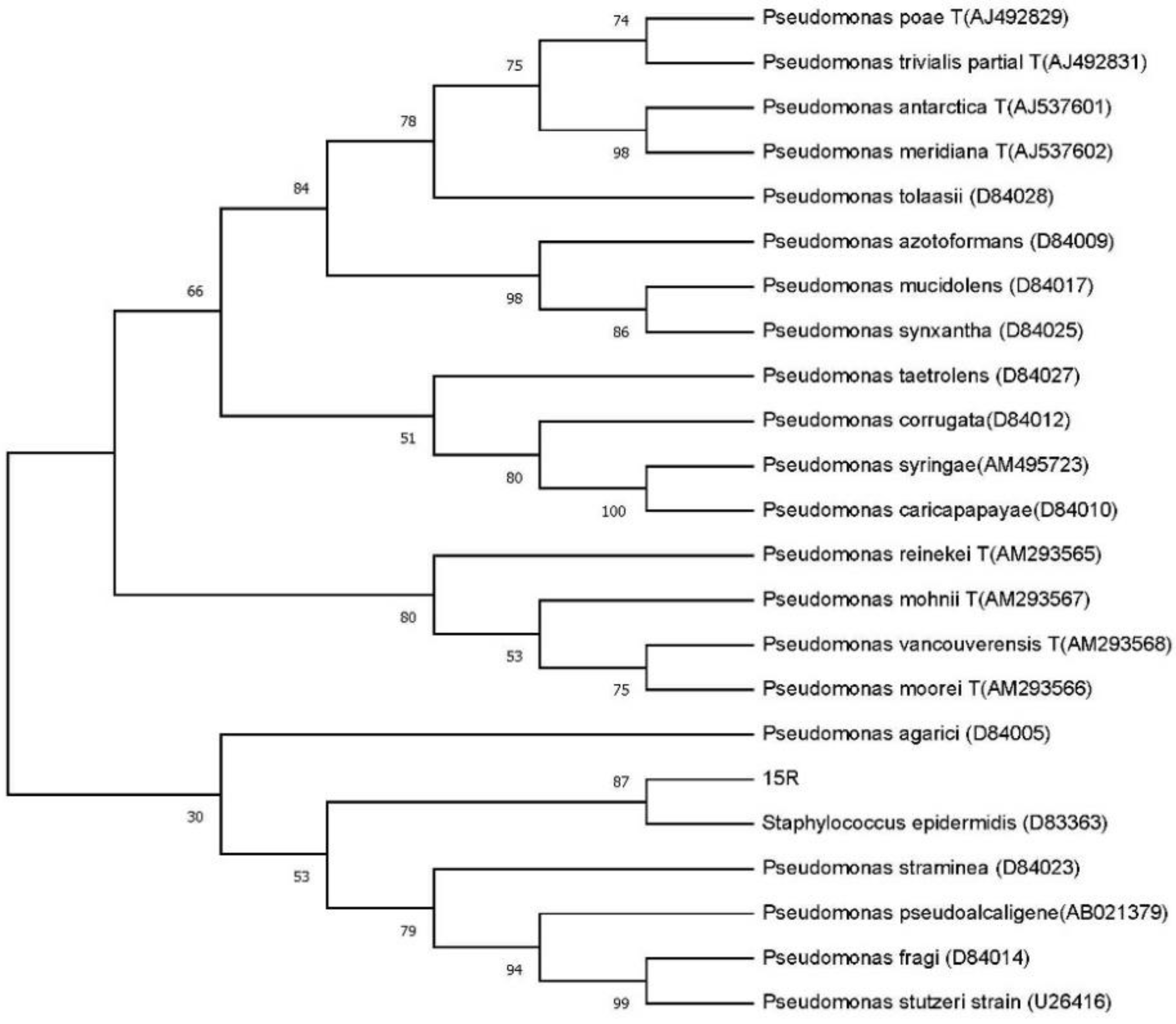 Applsci 14 00128 g002
