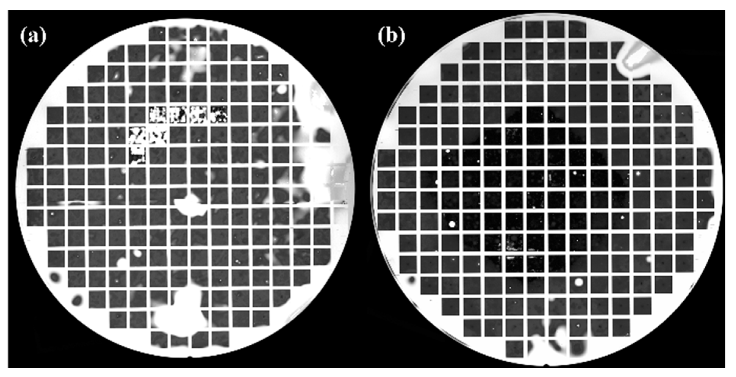 Applsci 14 00147 g007