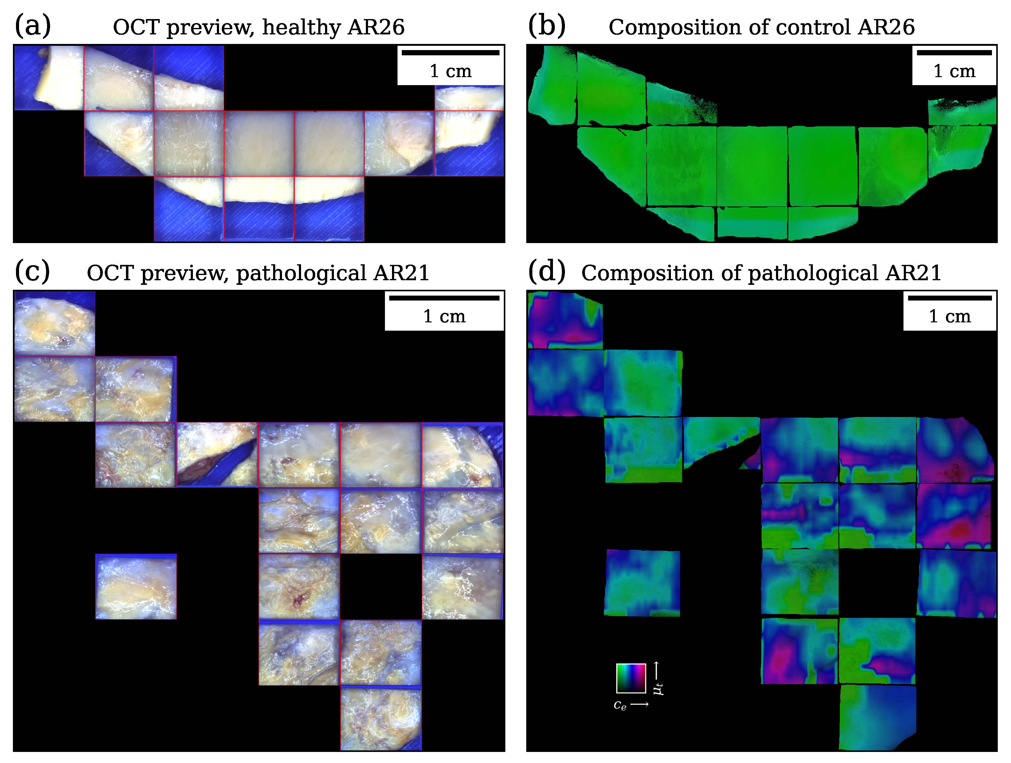 Applsci 14 00155 g002