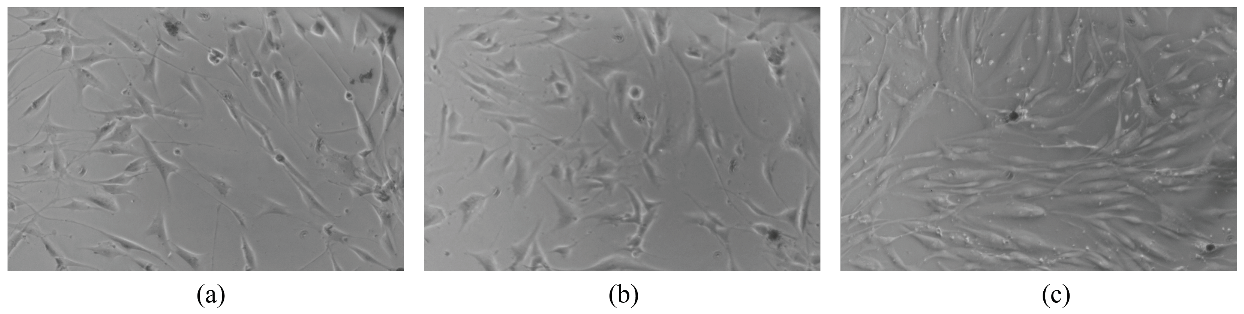 Applsci 14 00162 g008