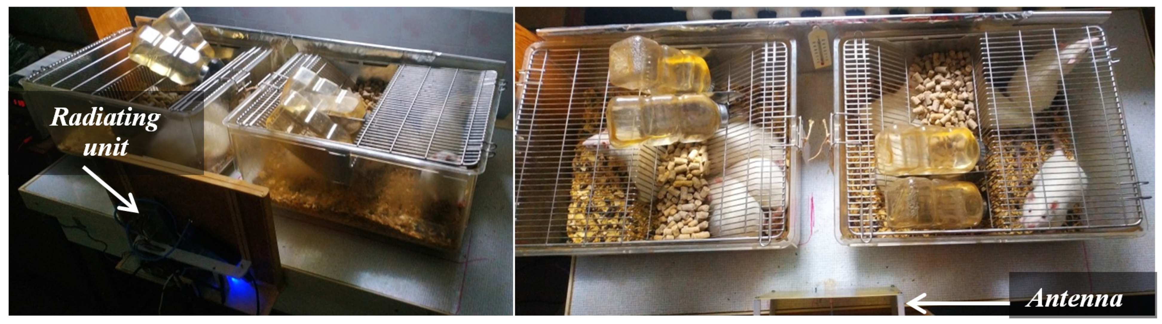 Applsci 14 00208 g004