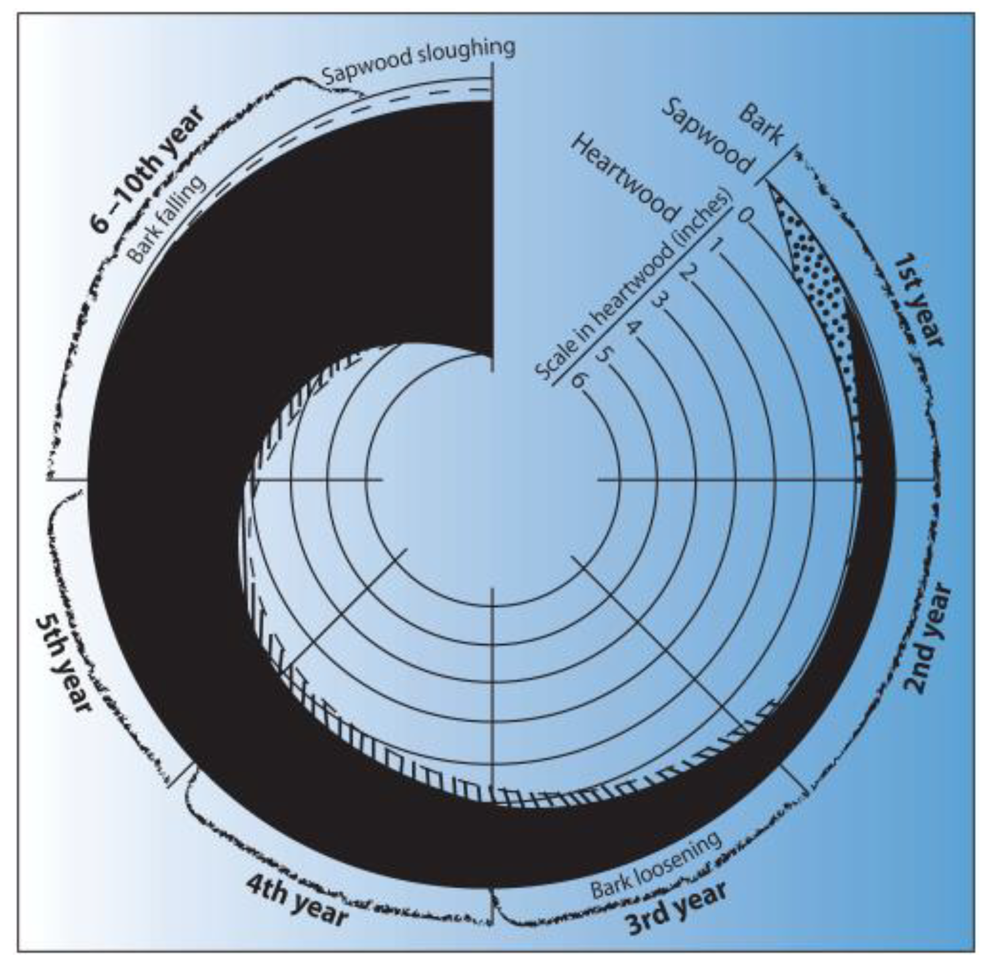 Applsci 14 00238 g001