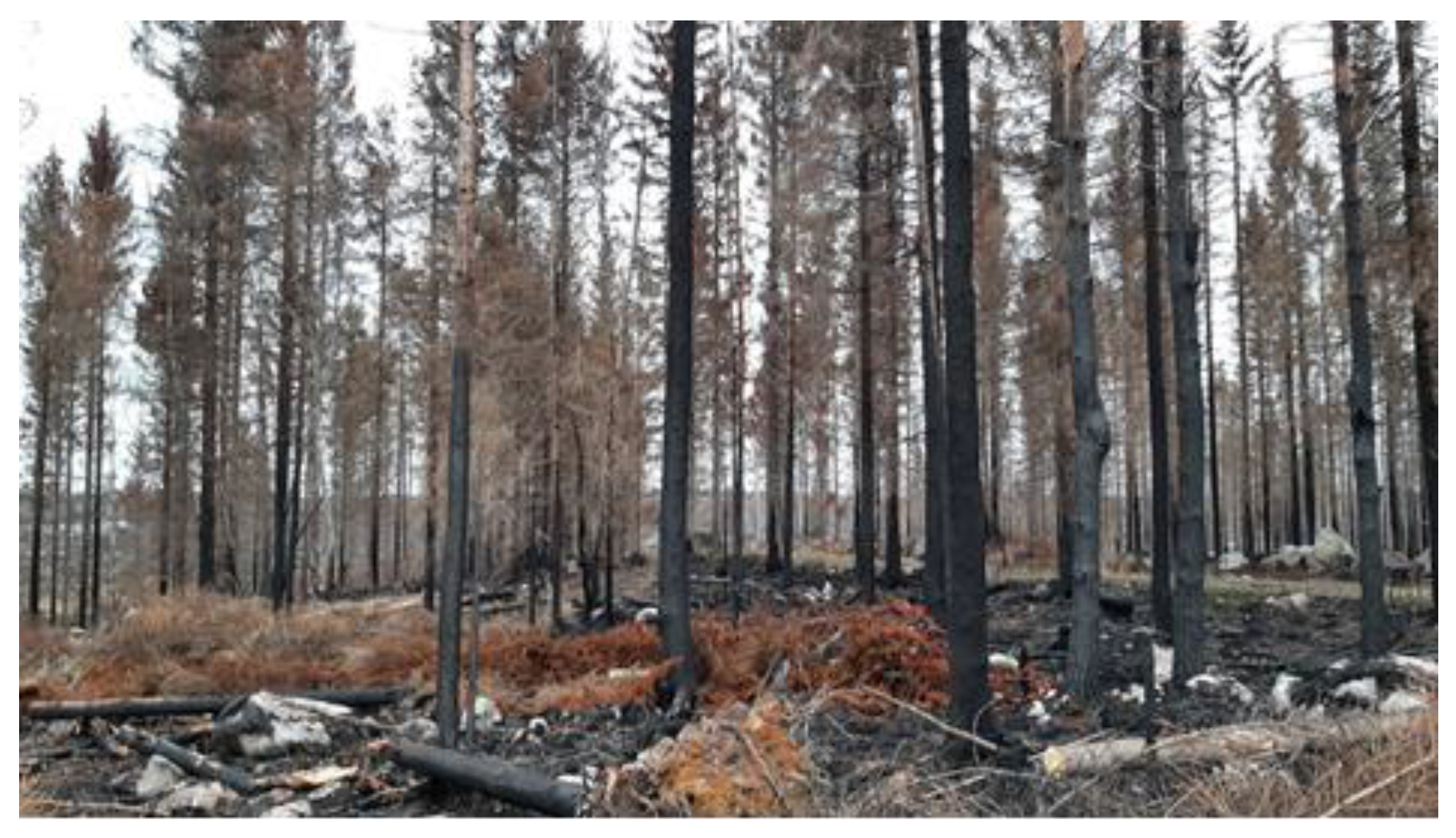 Applsci 14 00238 g002