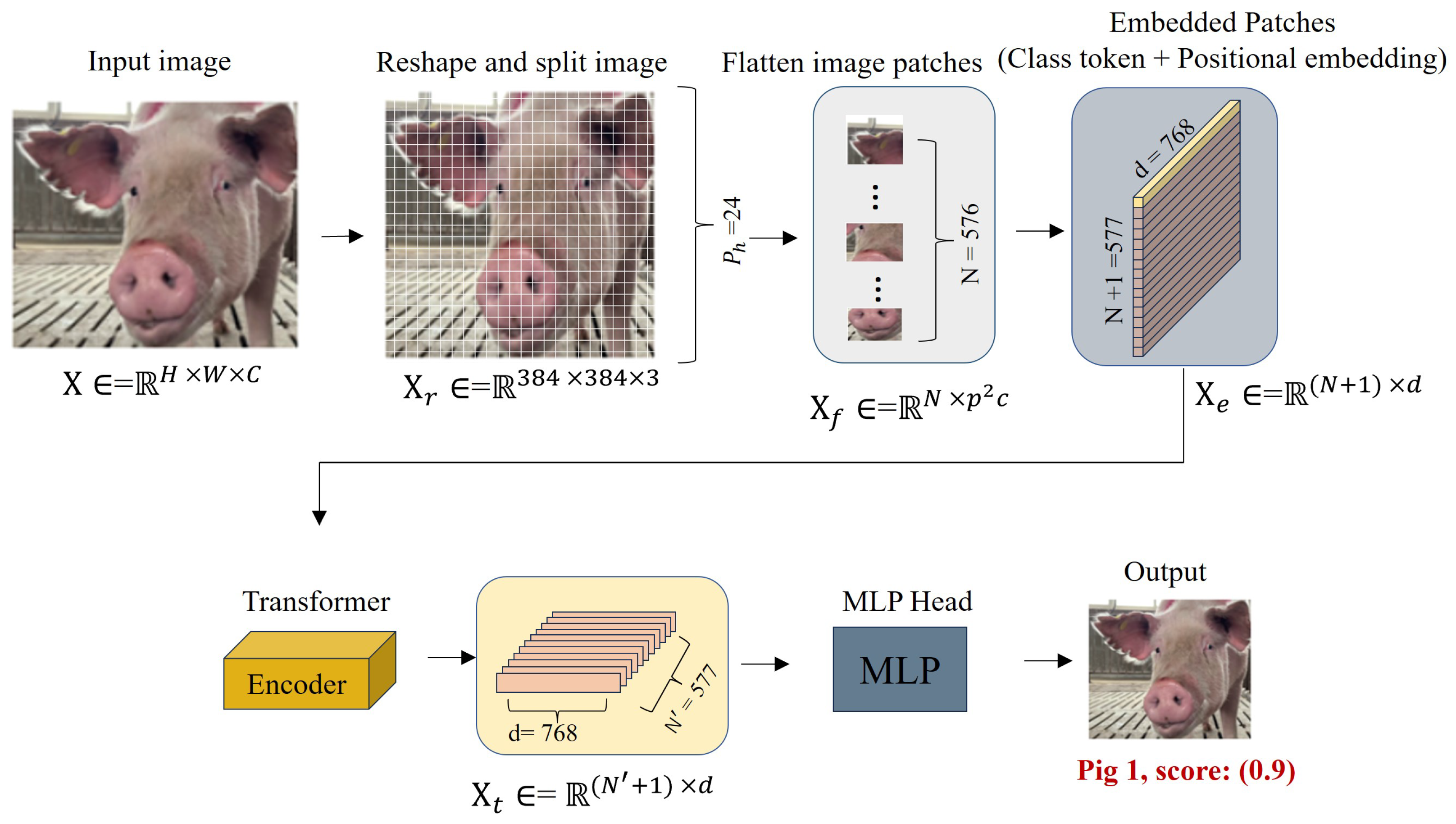 Applsci 14 00259 g005