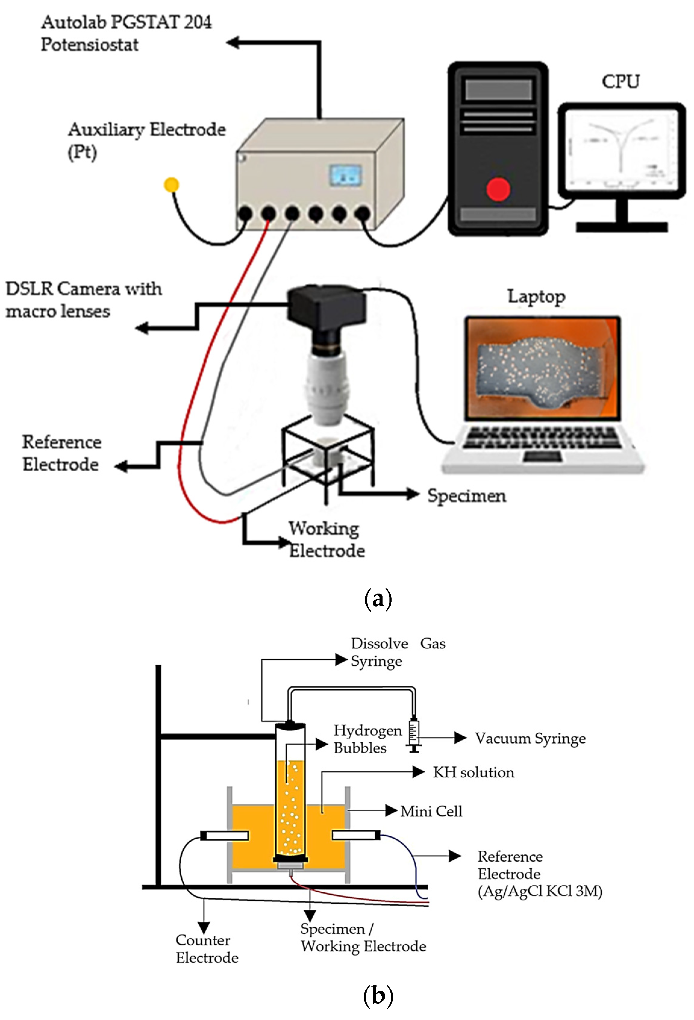 Applsci 14 00266 g002