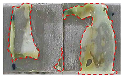 Applsci 14 00271 i001