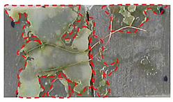 Applsci 14 00271 i004