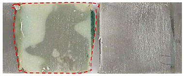 Applsci 14 00271 i019