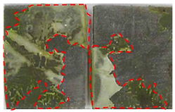 Applsci 14 00271 i025