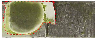 Applsci 14 00271 i034