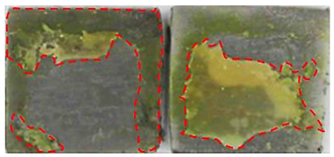 Applsci 14 00271 i038