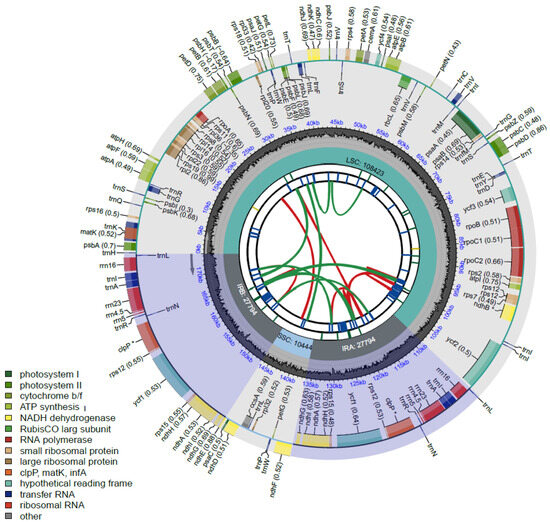 Estimation of the Genome Size and Complete Chloroplast Genome in ...