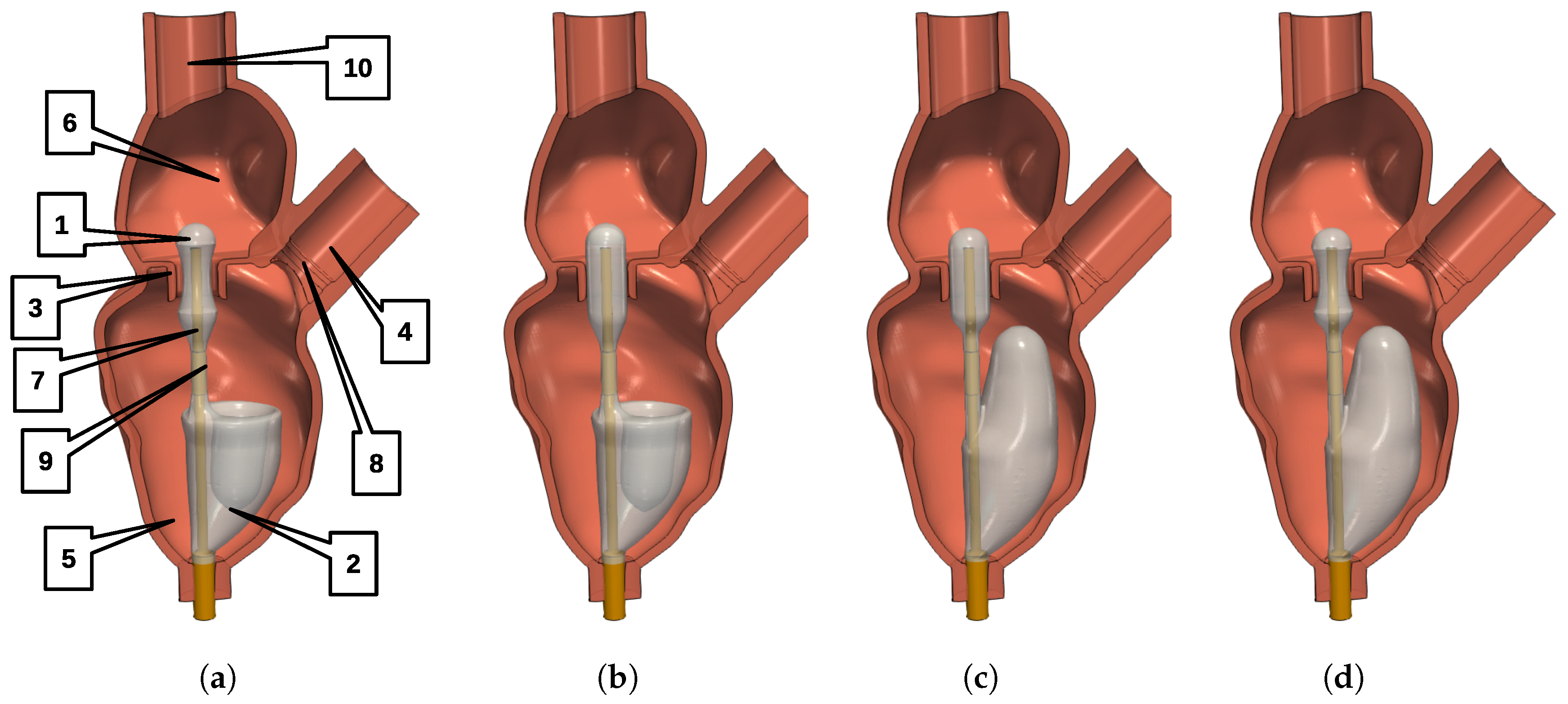 Applsci 14 00284 g001