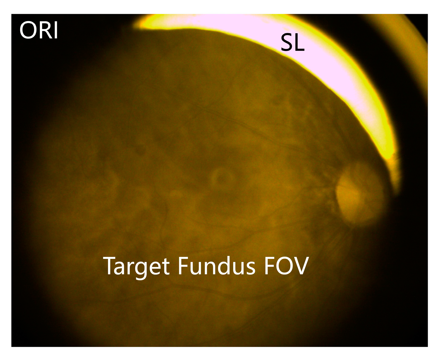 Applsci 14 00286 g001