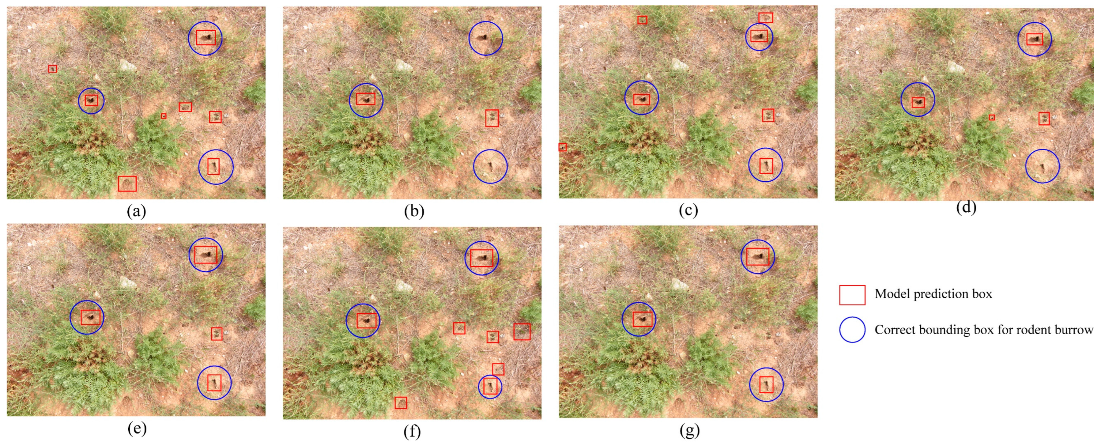 Applsci 14 00291 g011