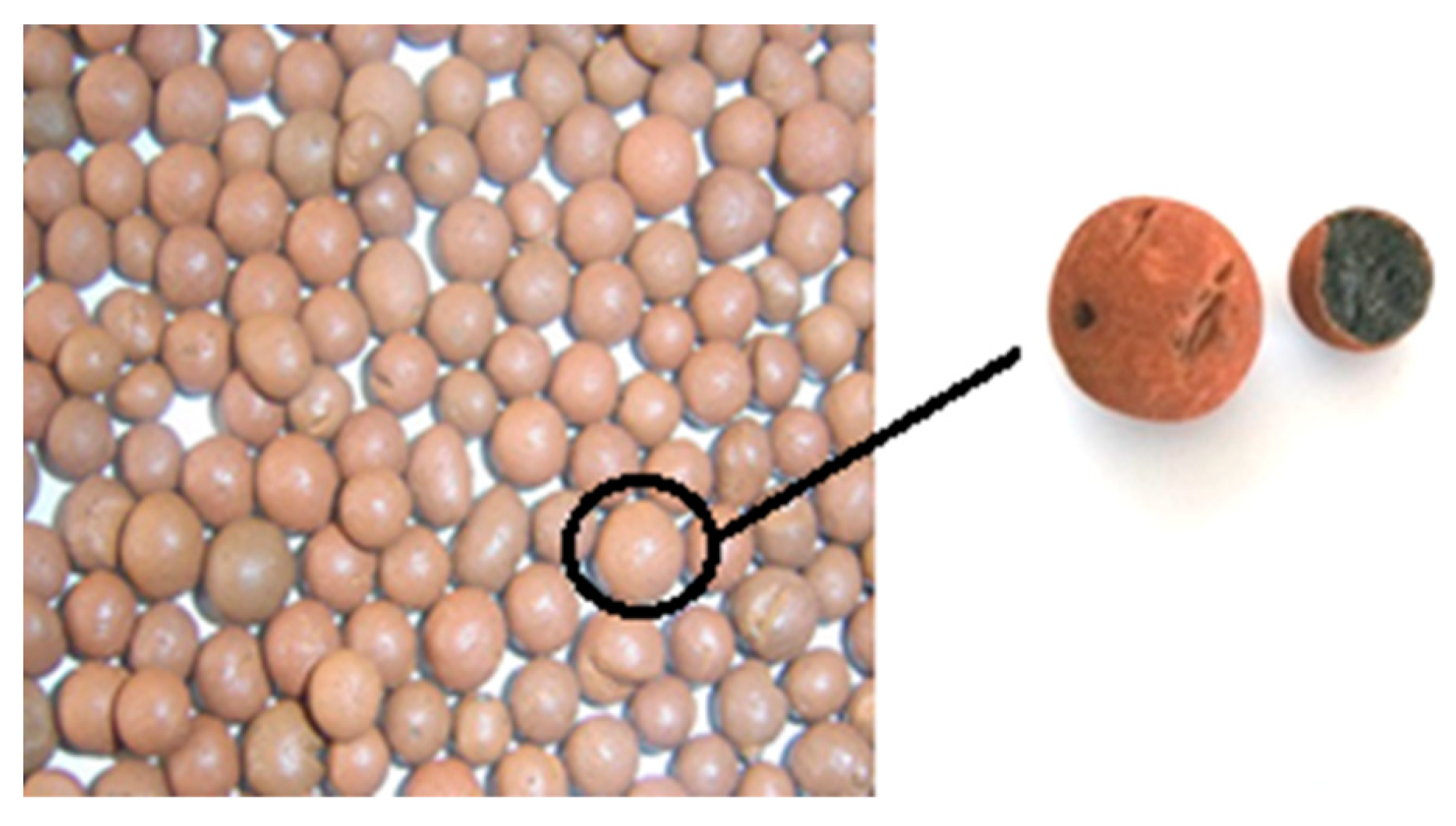 Applsci 14 00336 g001