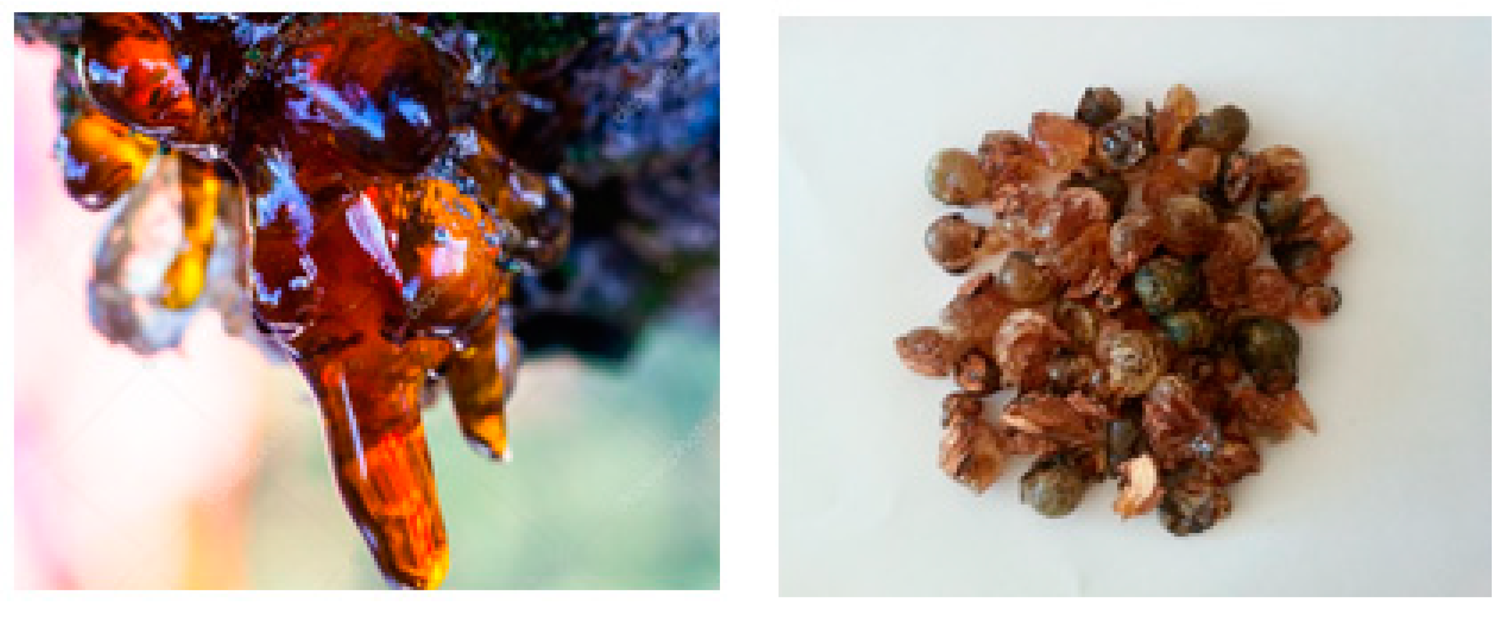 Applsci 14 00336 g002