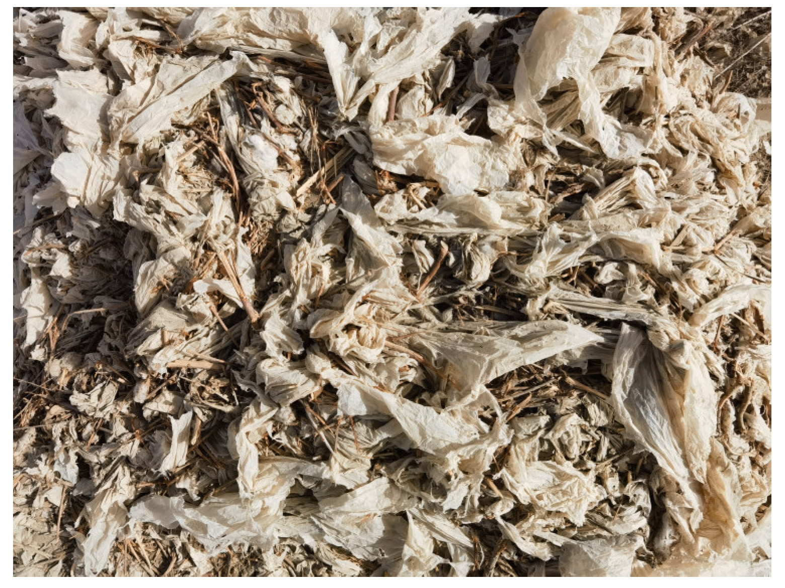 Applsci 14 00343 g001