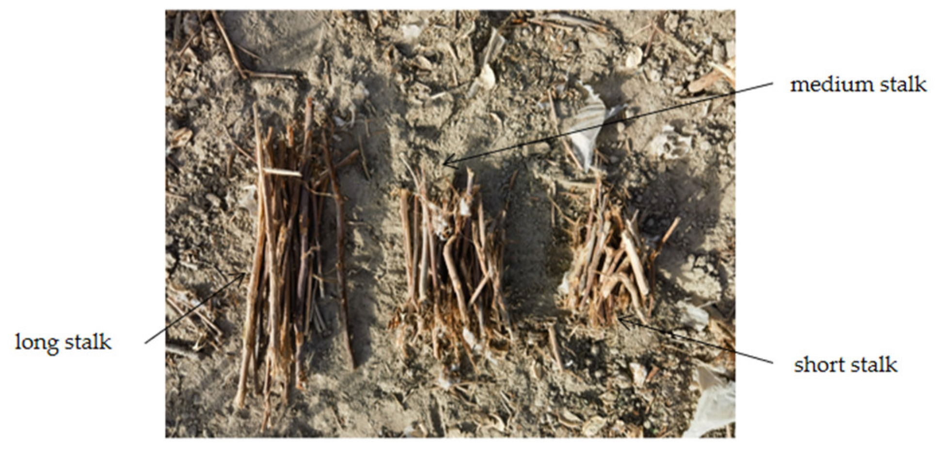 Applsci 14 00343 g004