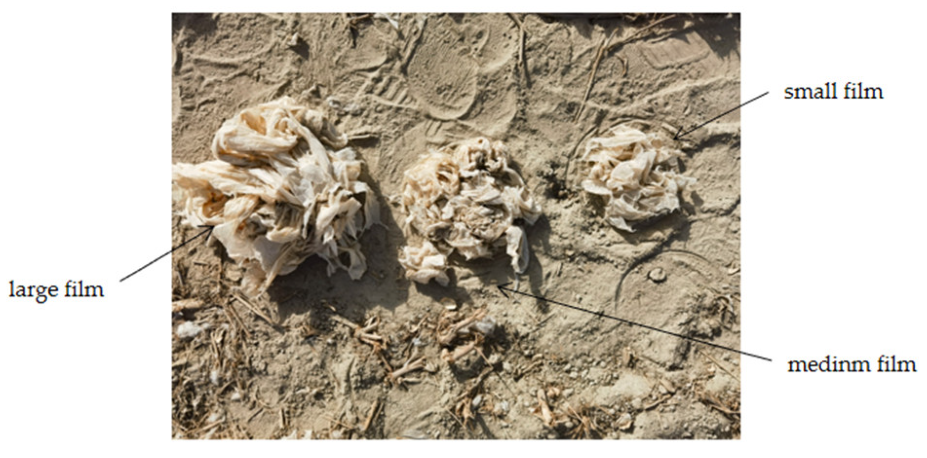 Applsci 14 00343 g005