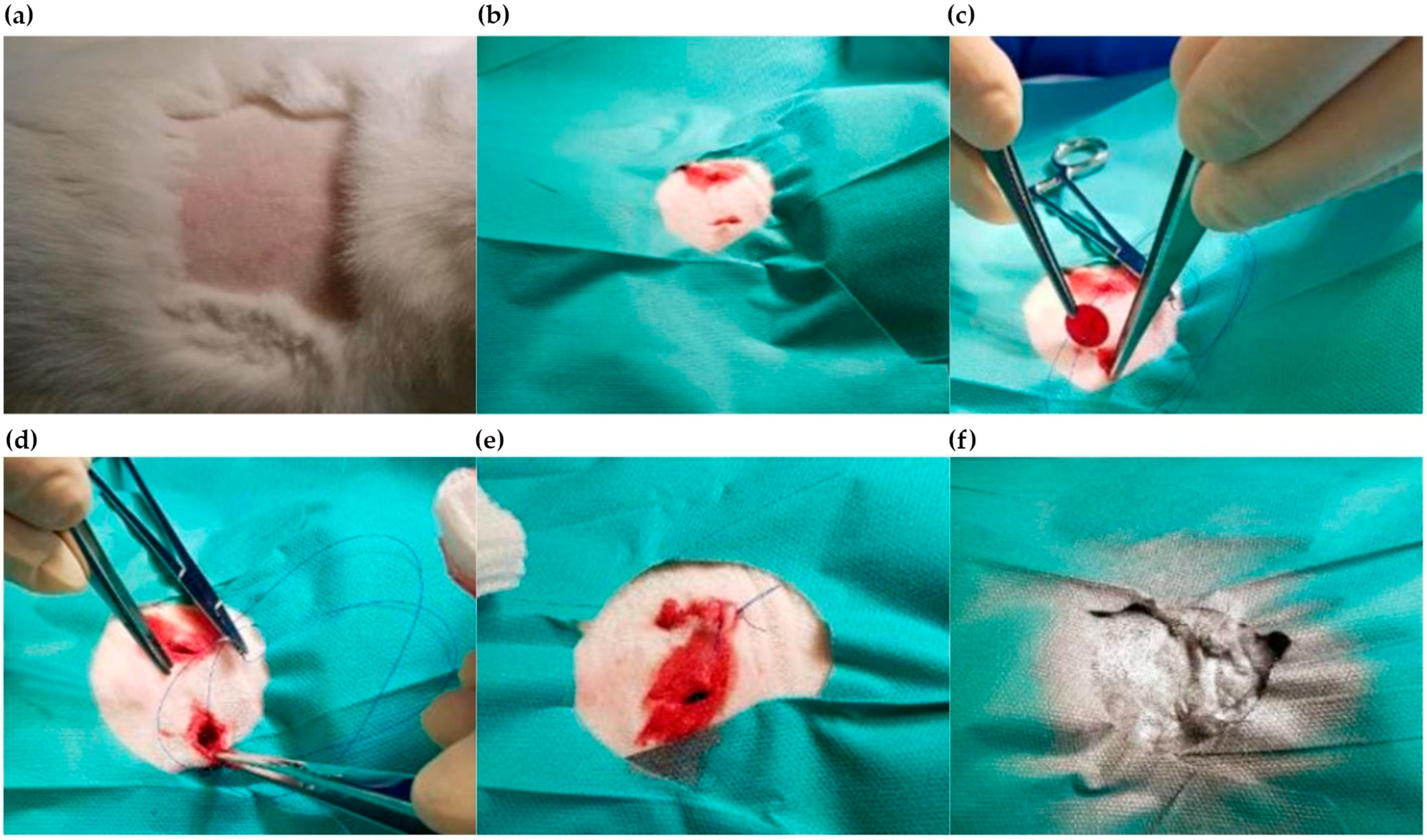 Applsci 14 00383 g001