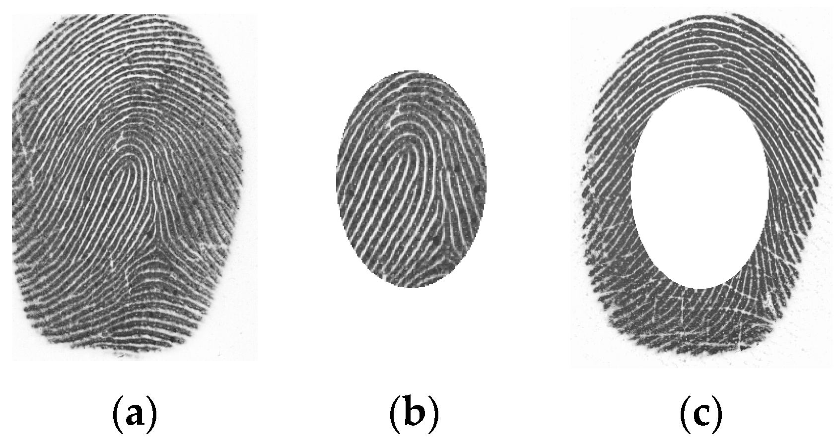 Applsci 14 00417 g001