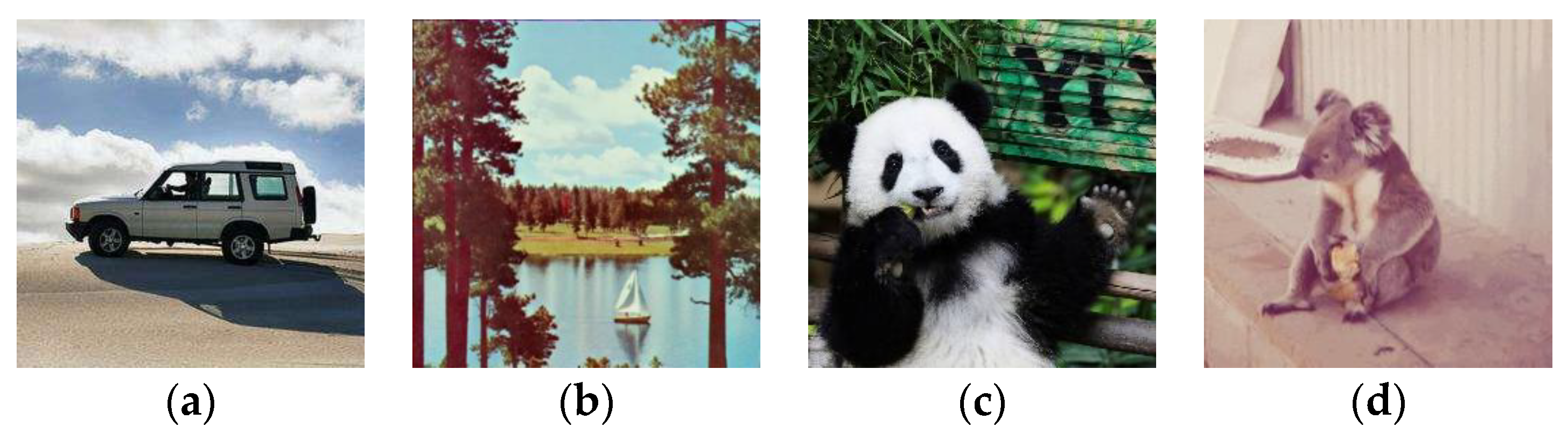 Applsci 14 00435 g008