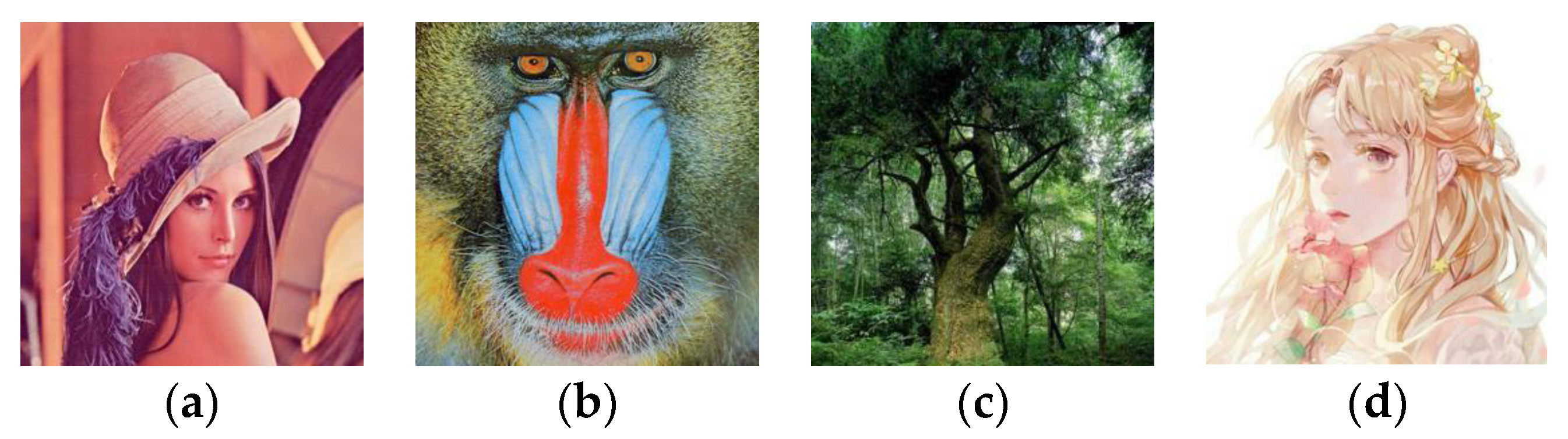 Applsci 14 00435 g009