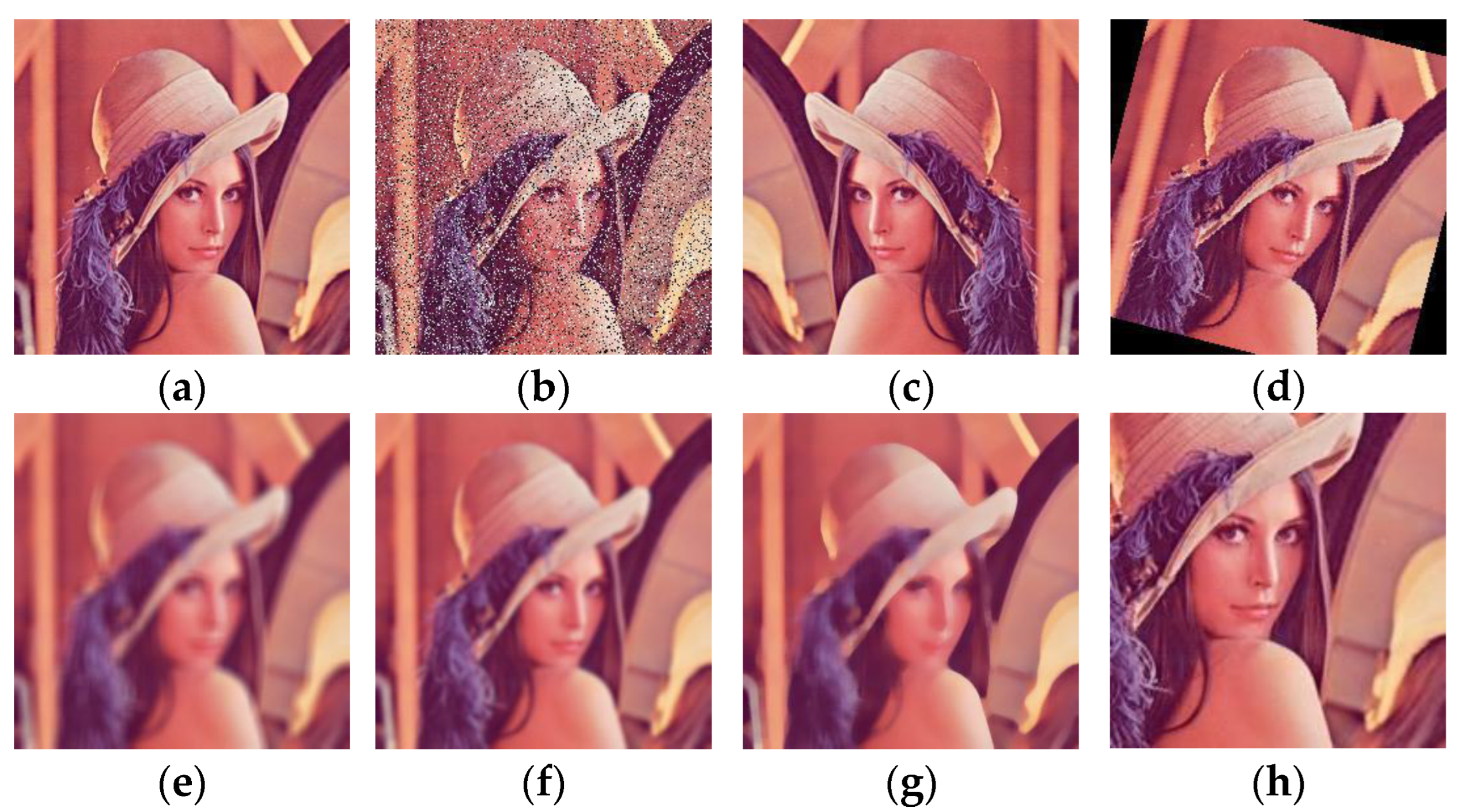 Applsci 14 00435 g011