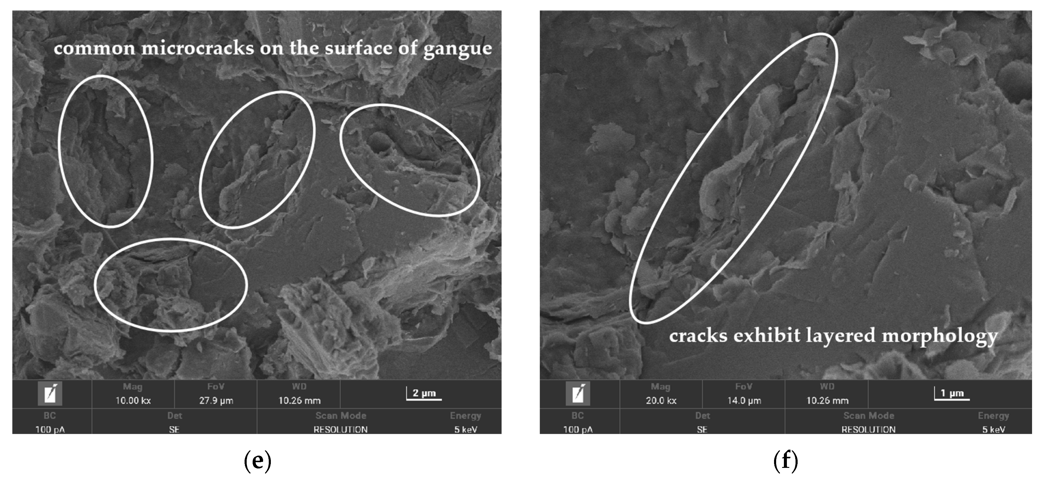 Applsci 14 00453 g002b