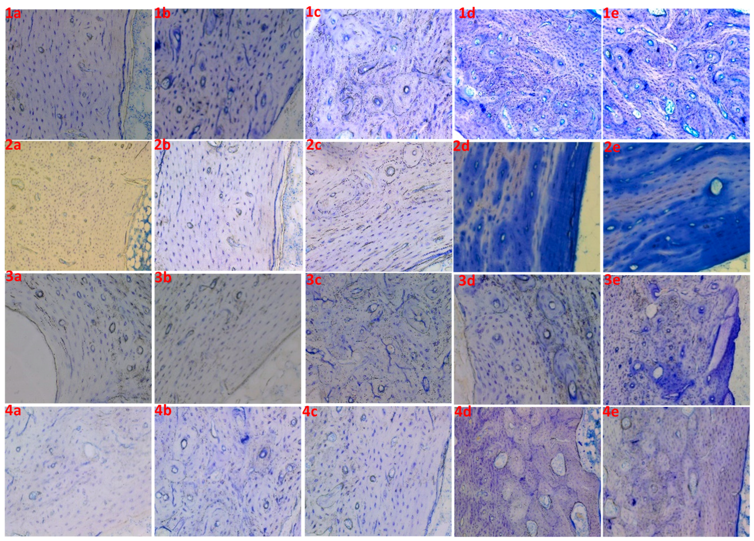 Applsci 14 00461 g001