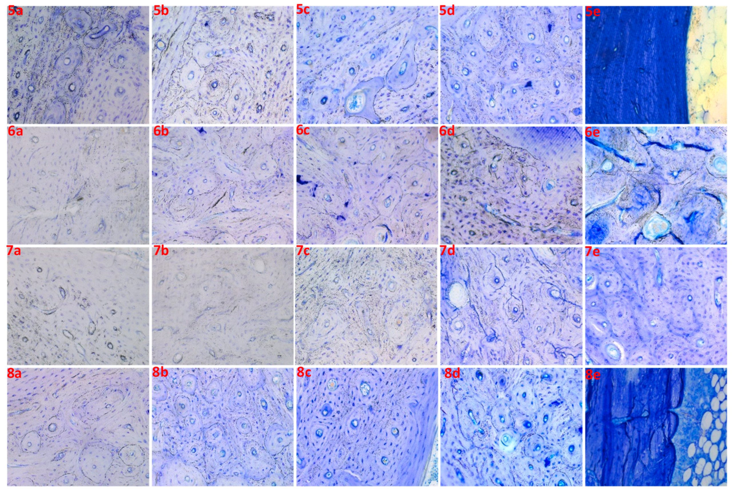 Applsci 14 00461 g002