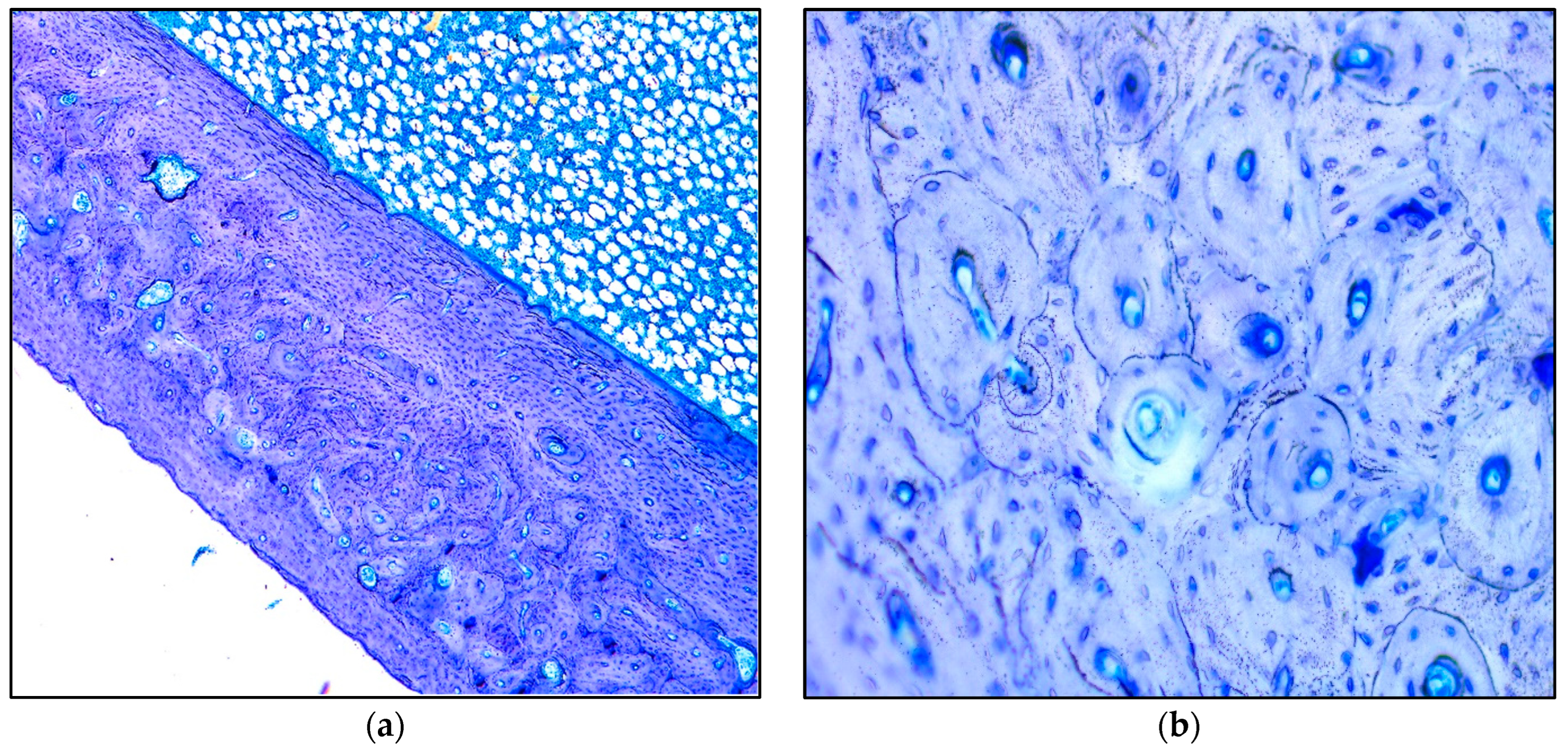 Applsci 14 00461 g003