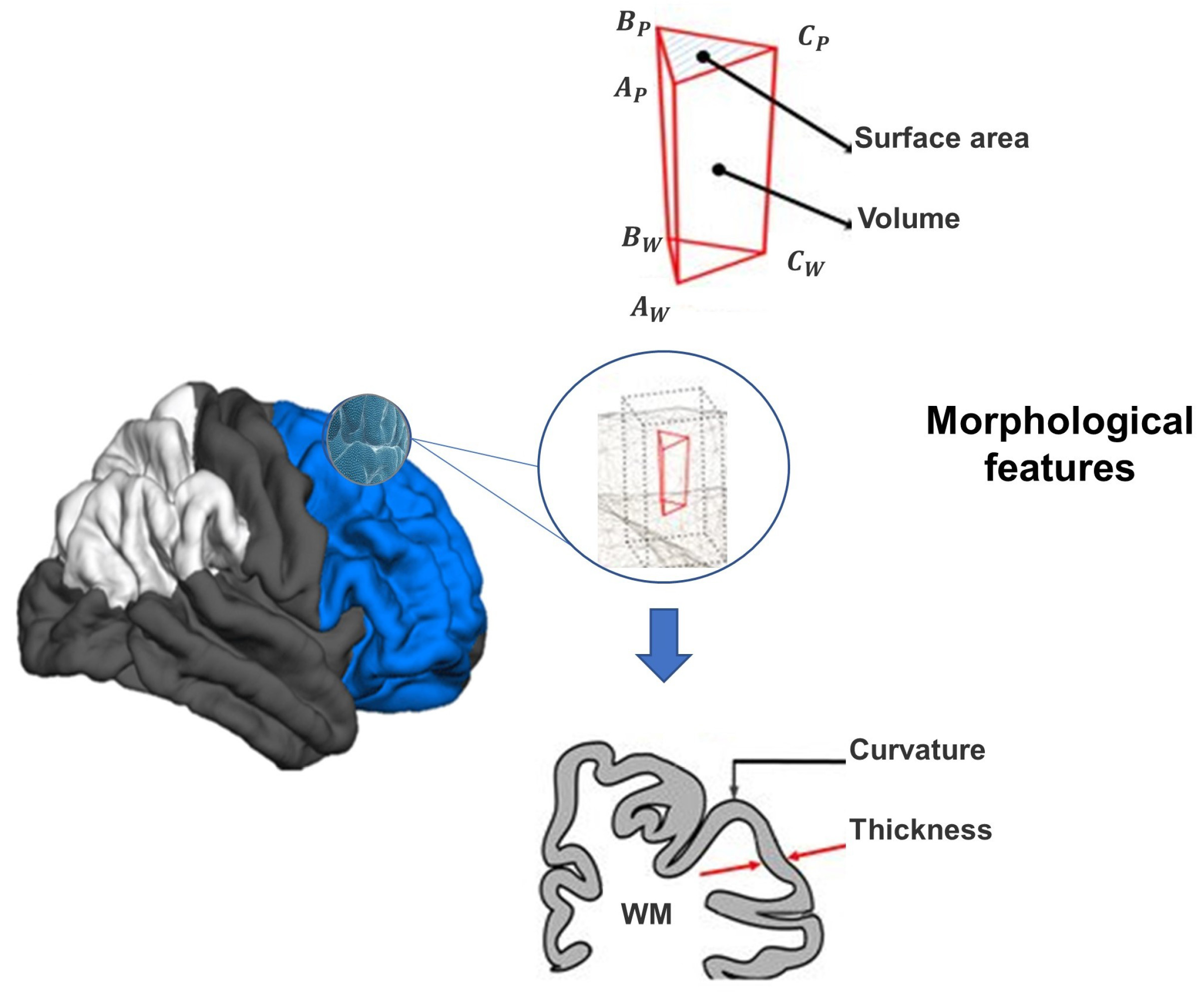 Applsci 14 00473 g004