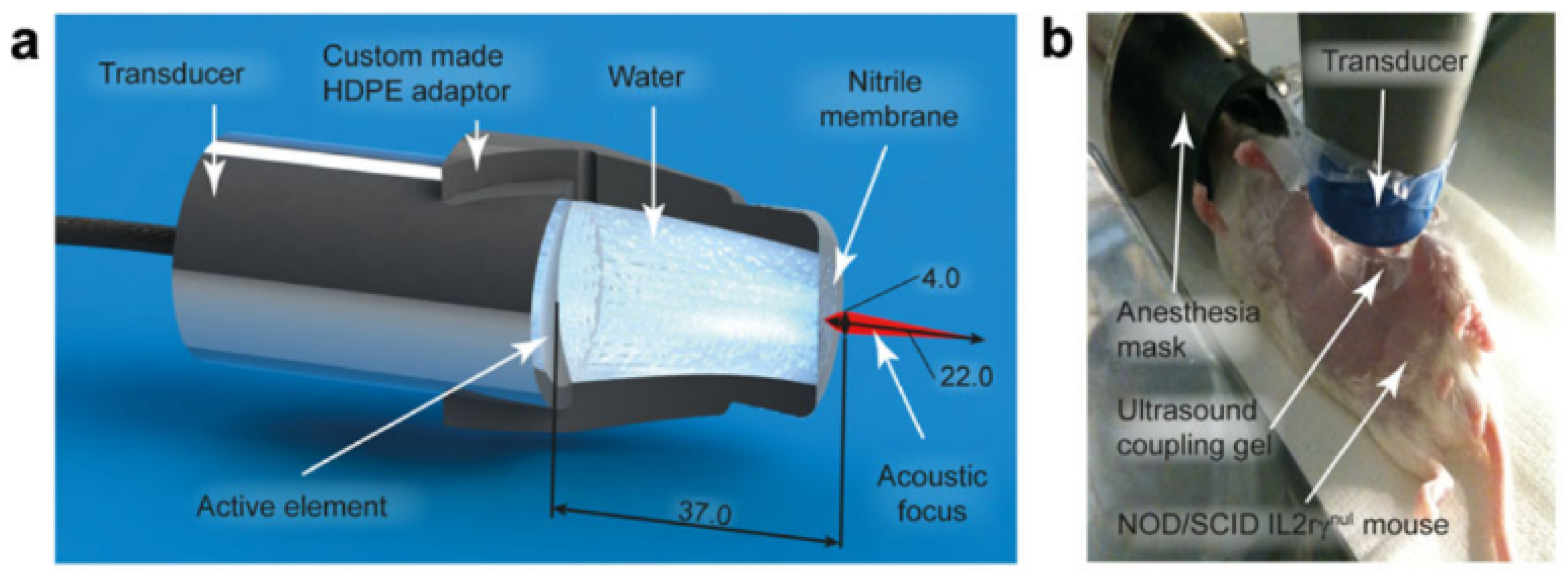 Applsci 14 00515 g004