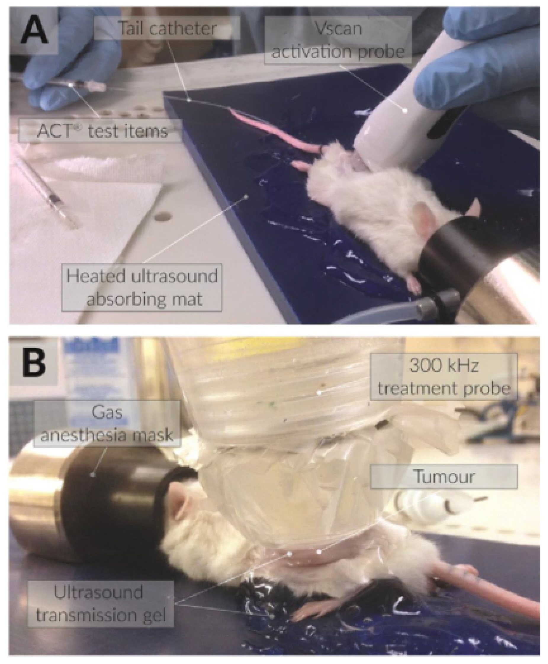 Applsci 14 00515 g005