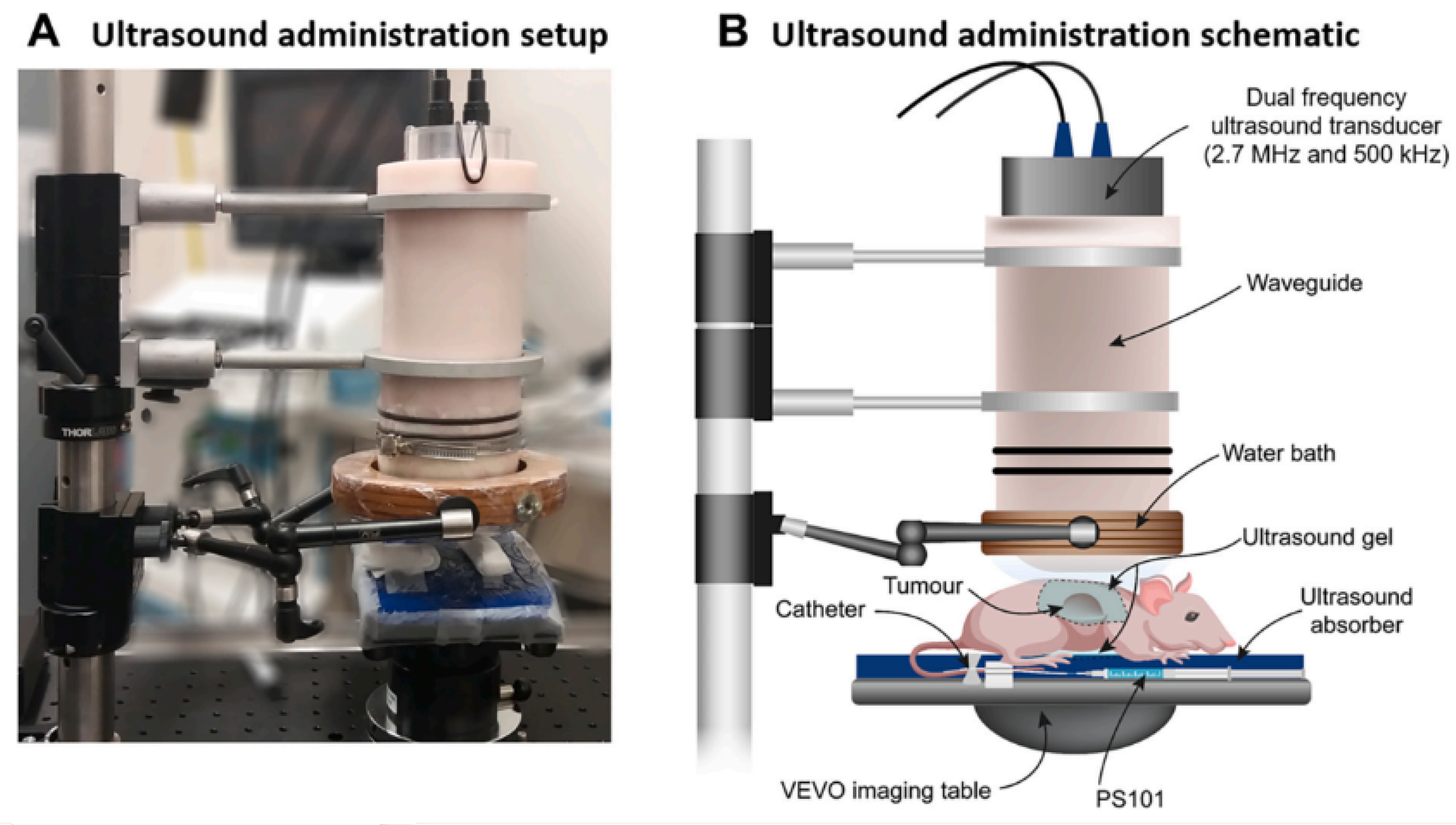 Applsci 14 00515 g006