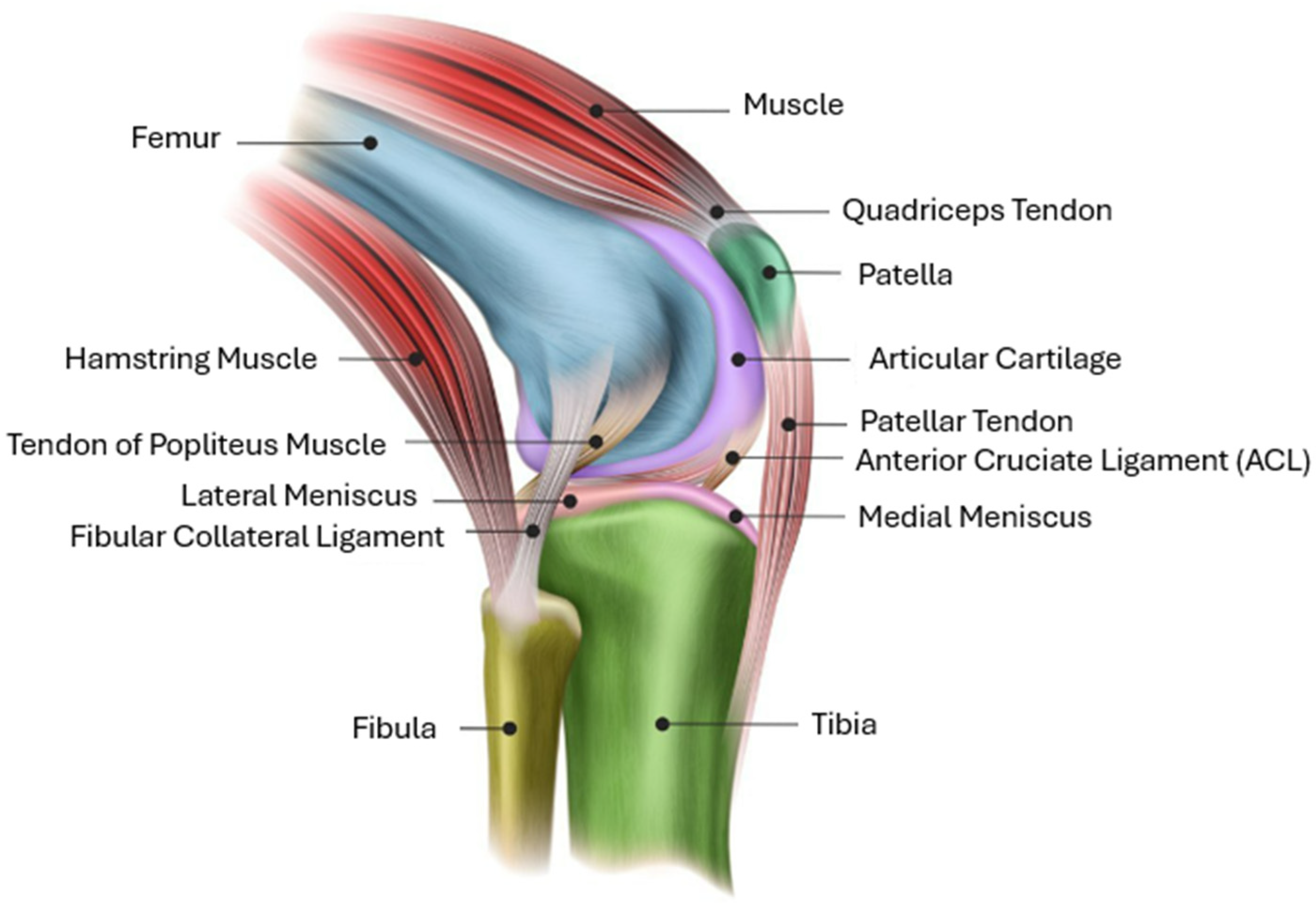 Applsci 14 00516 g004
