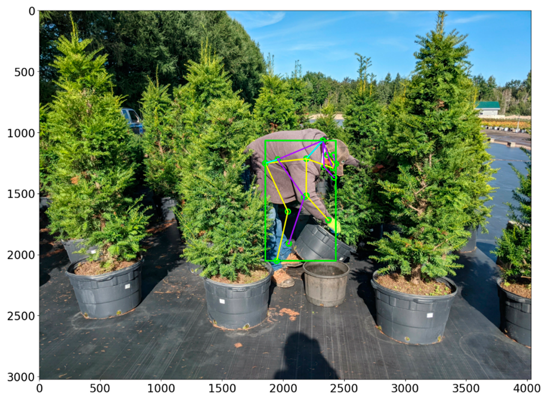 Applsci 14 00525 g002