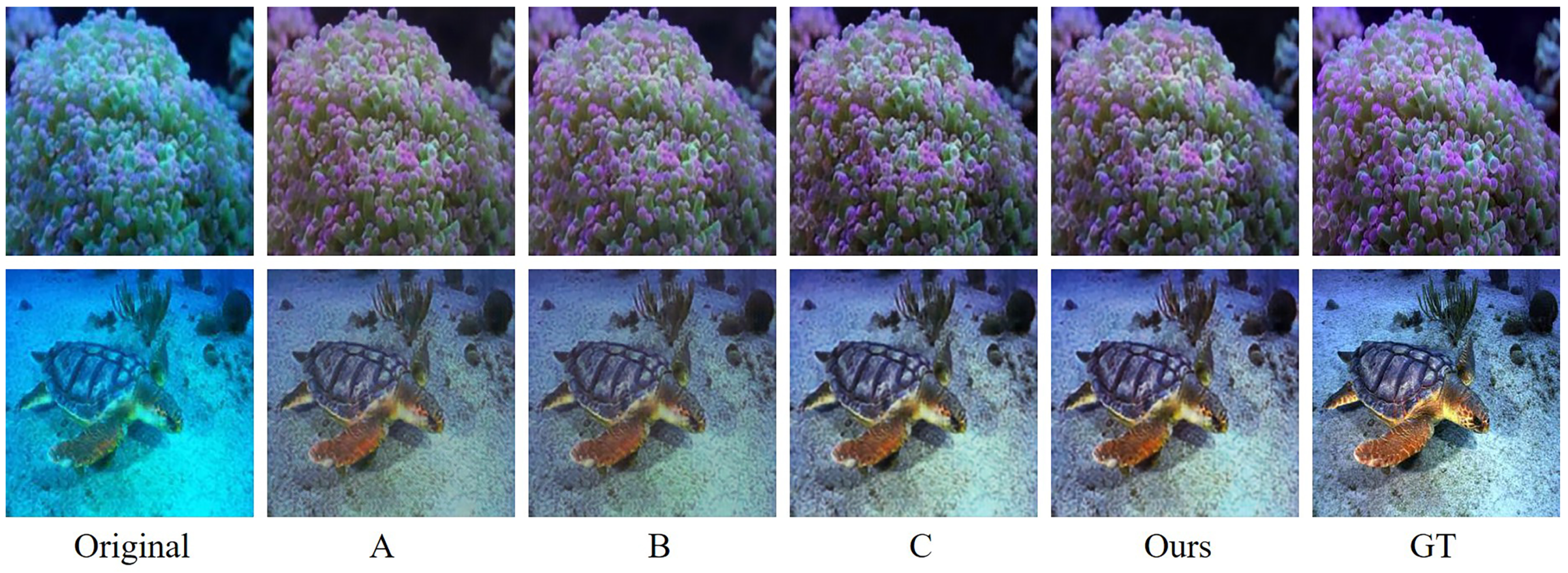 Applsci 14 00529 g005