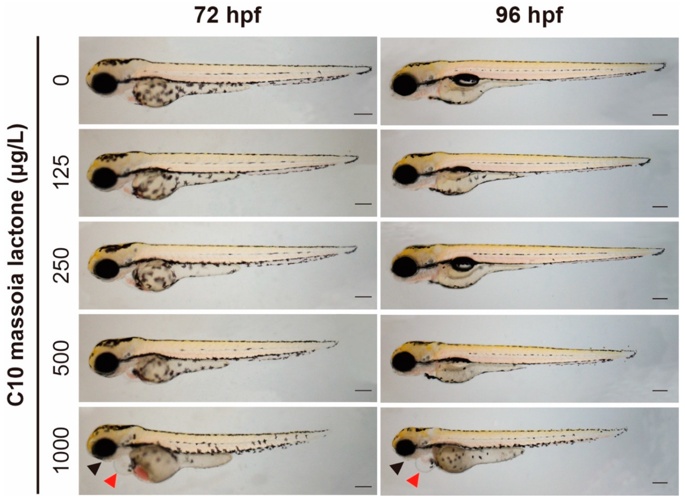 Applsci 14 00538 g002 Applsci 14 00538 g002