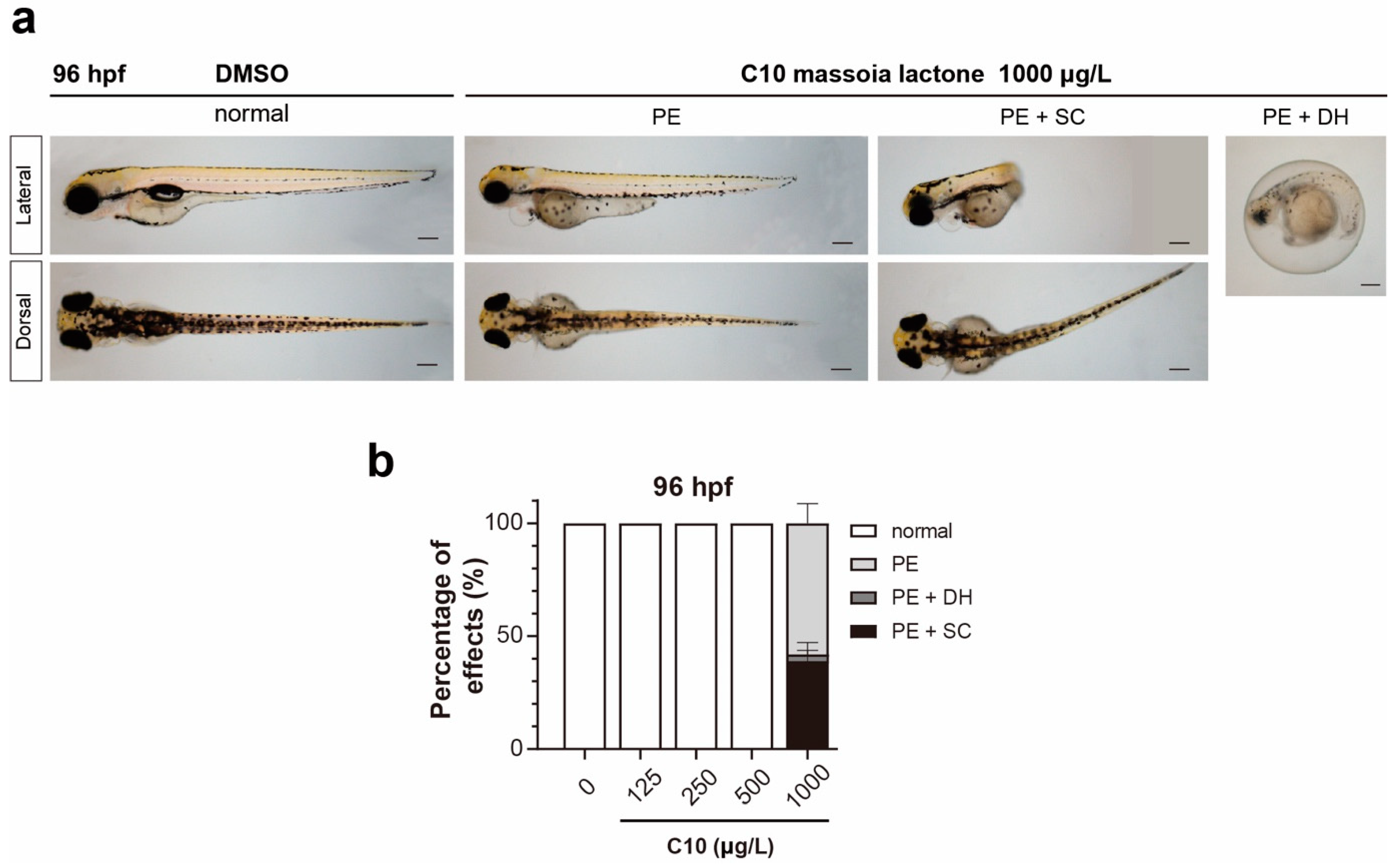 Applsci 14 00538 g003 Applsci 14 00538 g003