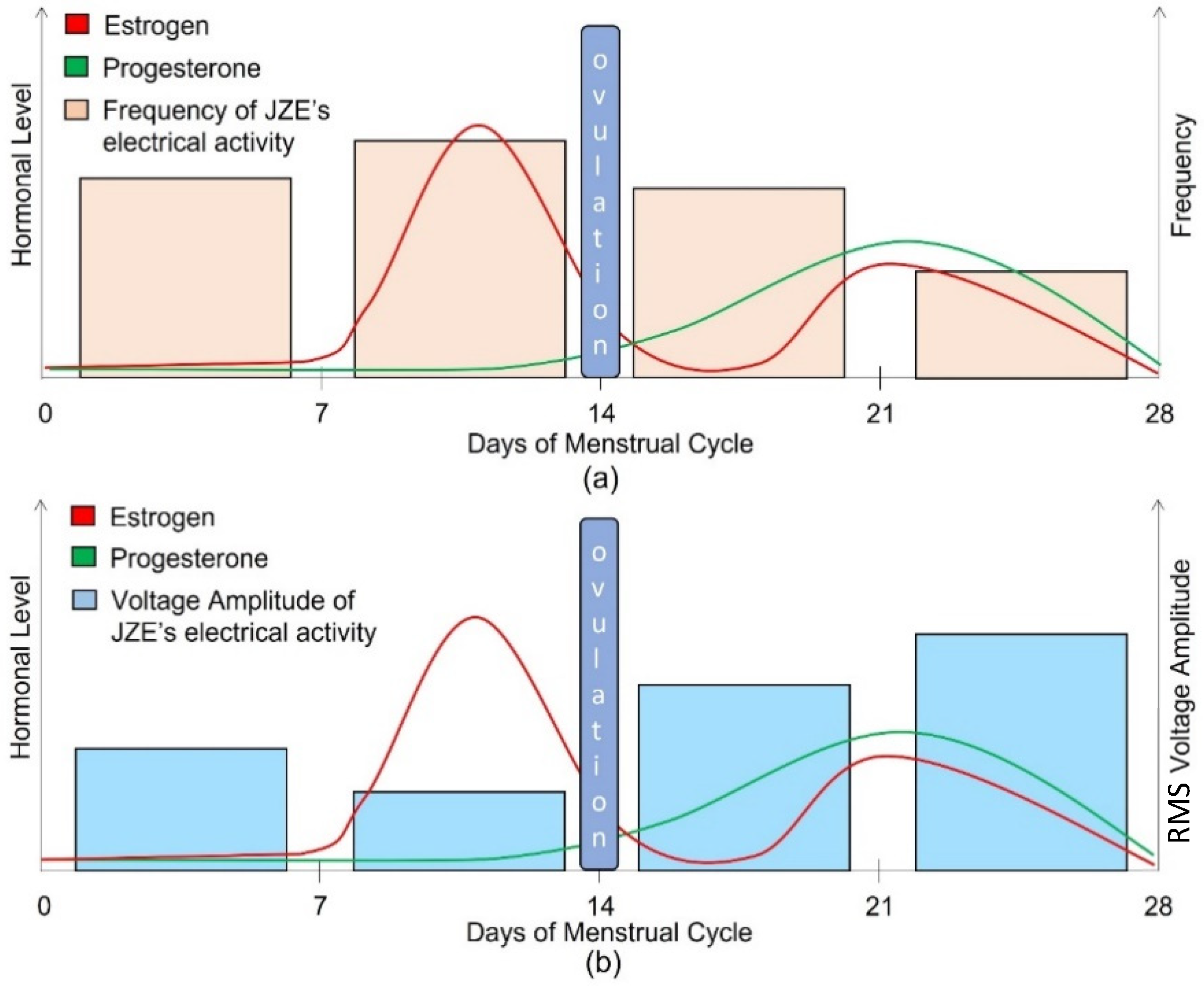Applsci 14 00546 g004